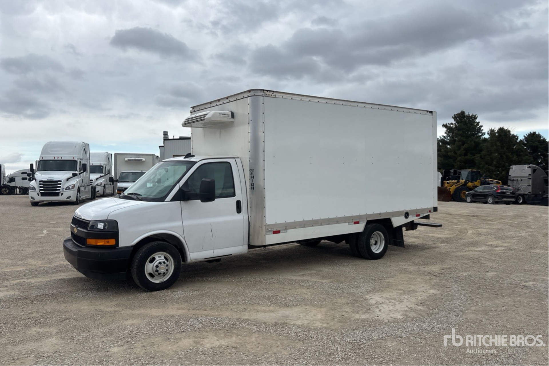 General Appearance with Spin