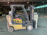 General Appearance with Paint