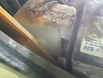Engine with Radiator