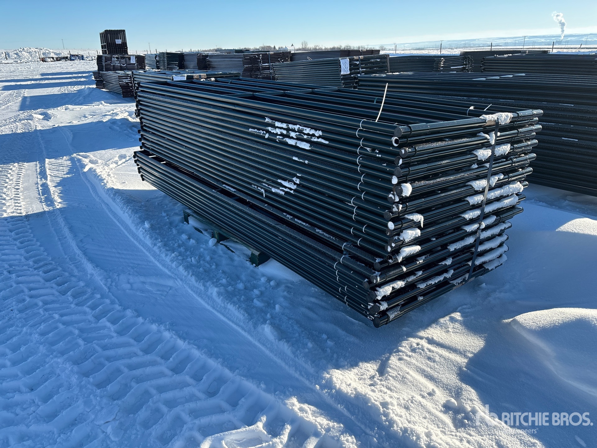 General Appearance with Foto, angolo anteriore sinistro