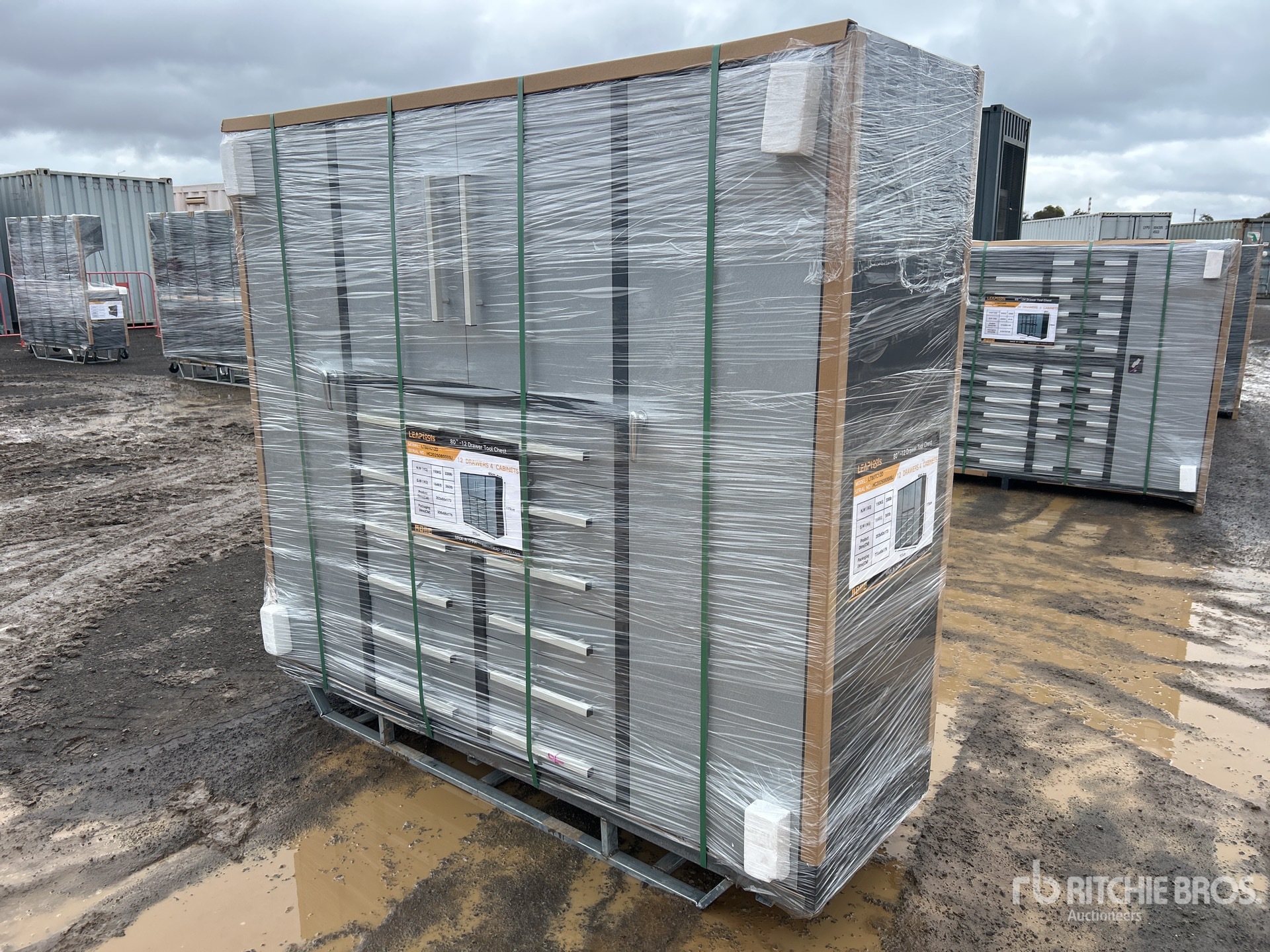 General Appearance with Picture, Left Front Corner