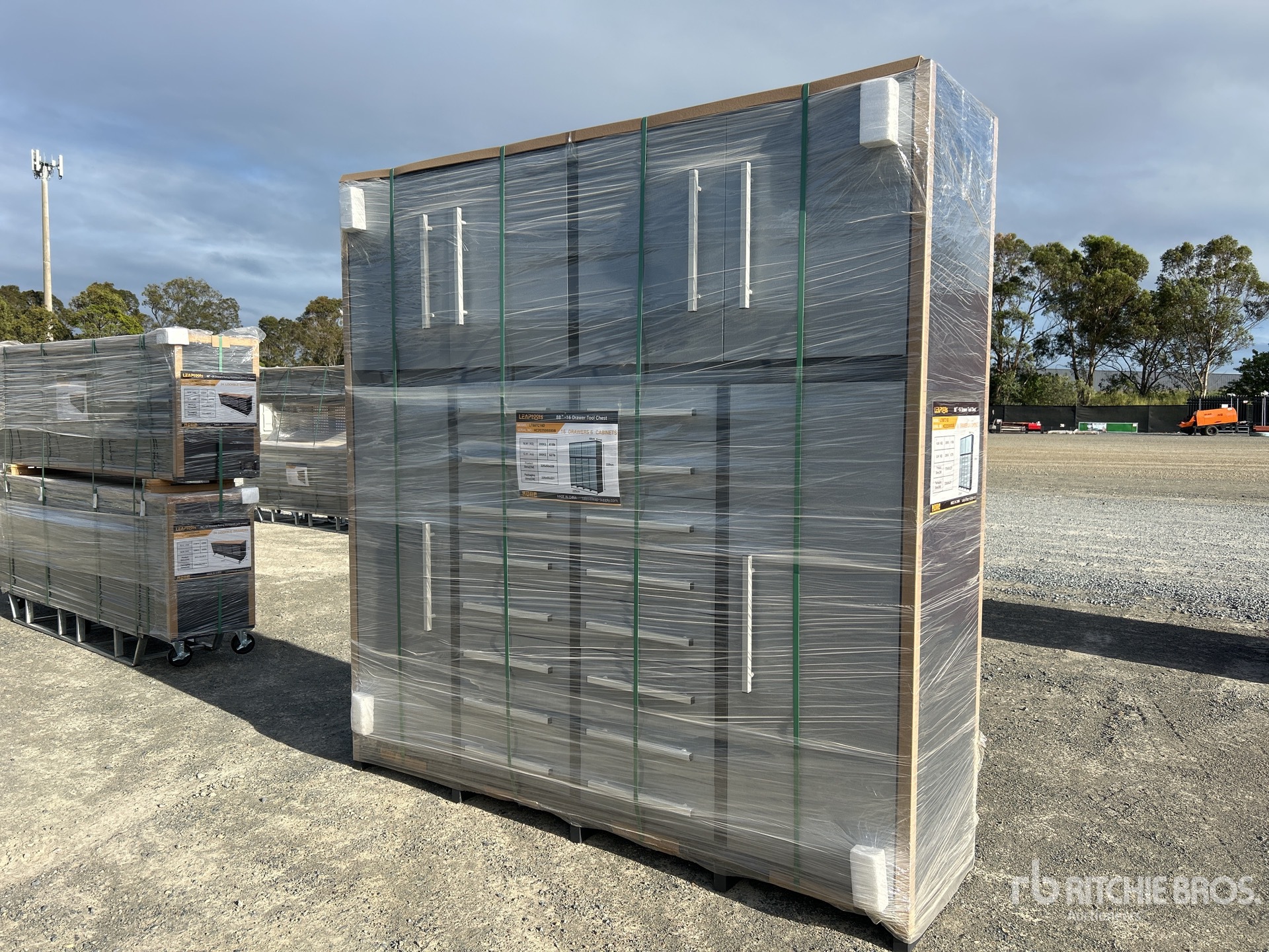 General Appearance with Picture, Left Front Corner