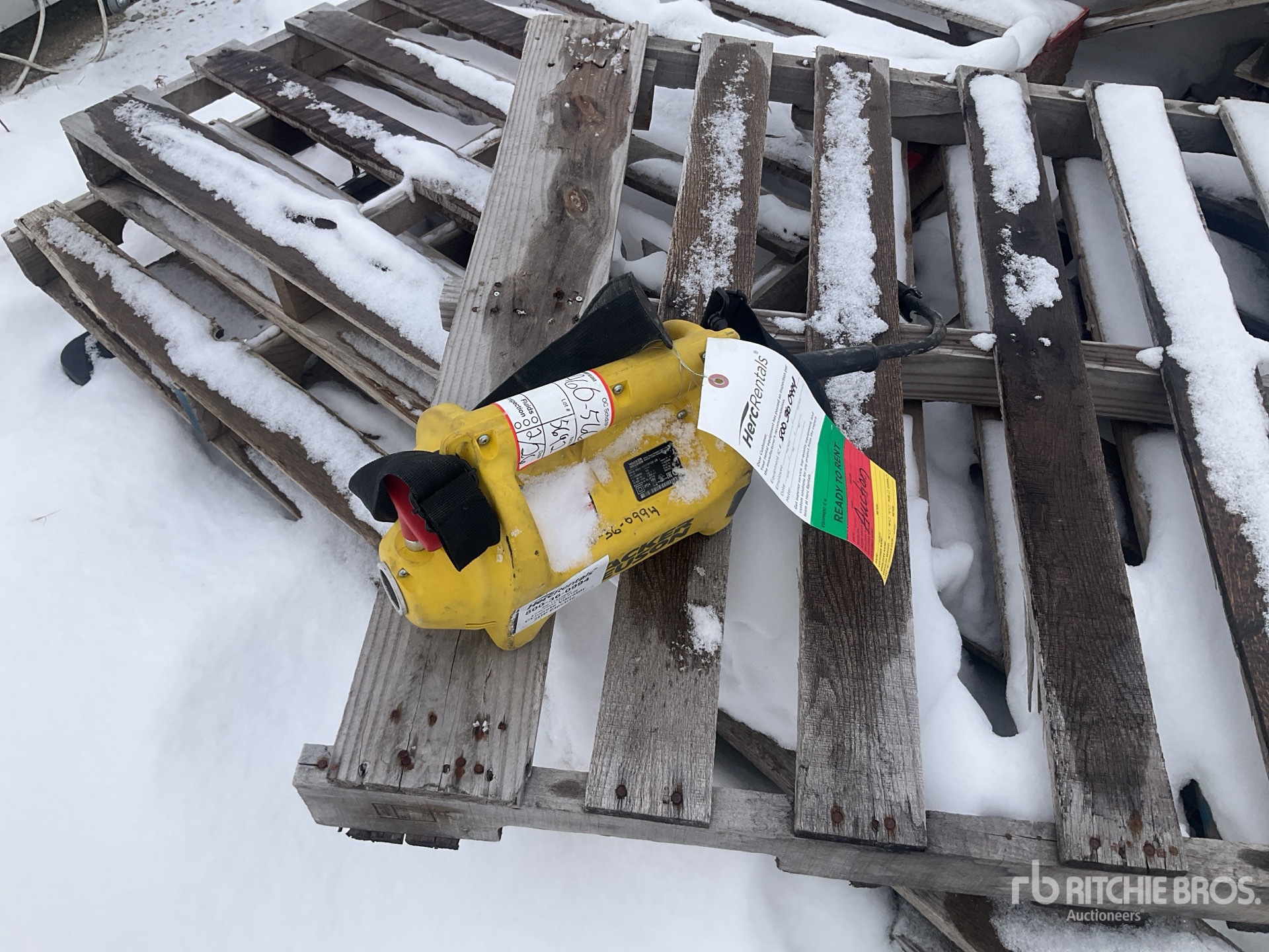 General Appearance with Featured Photo