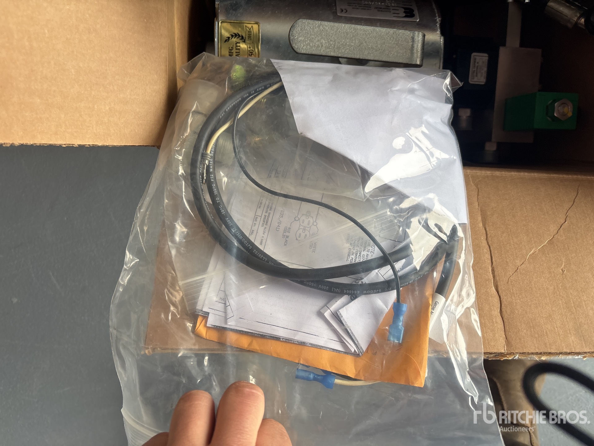 General Appearance with