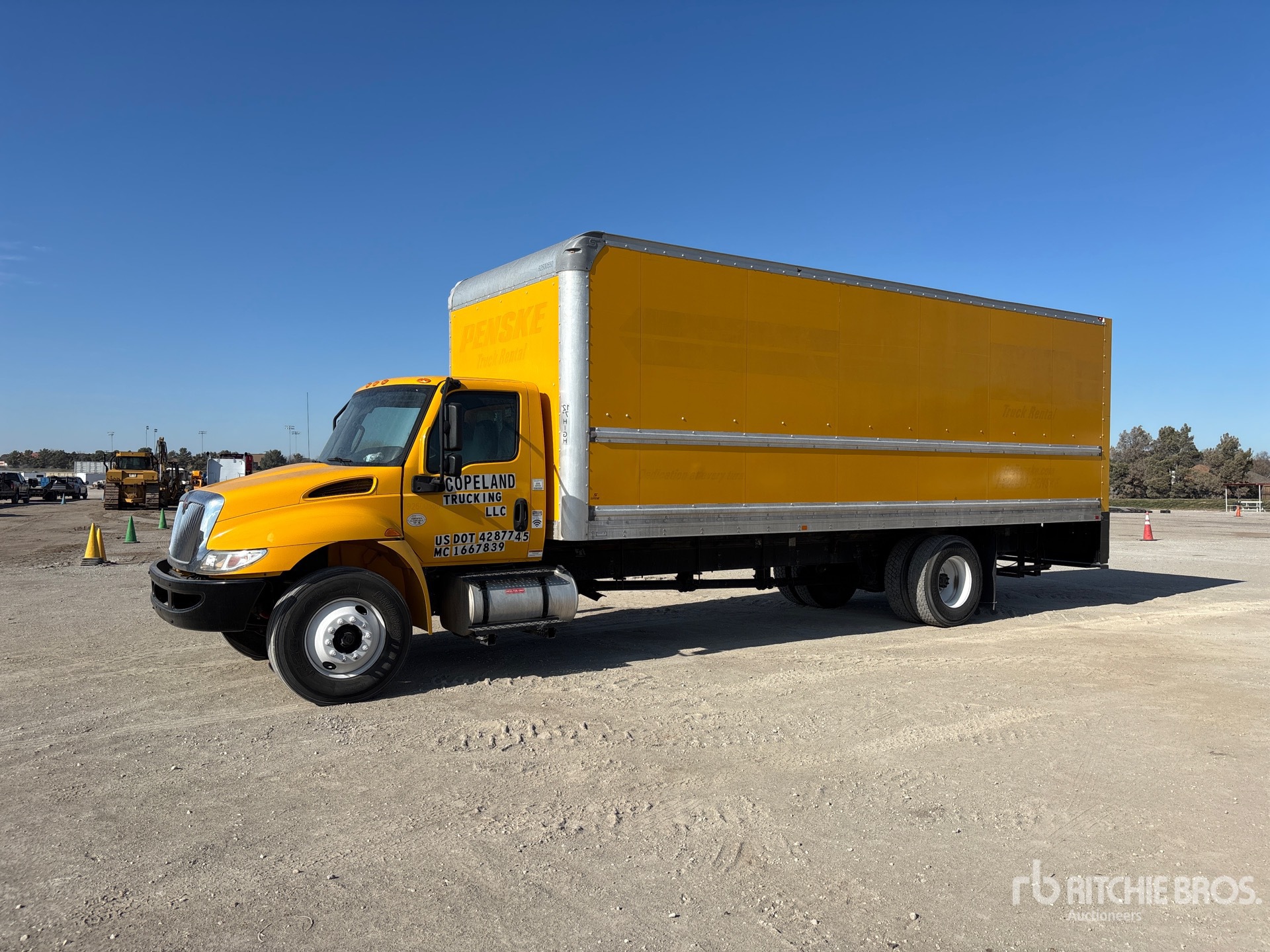 General Appearance with Spin