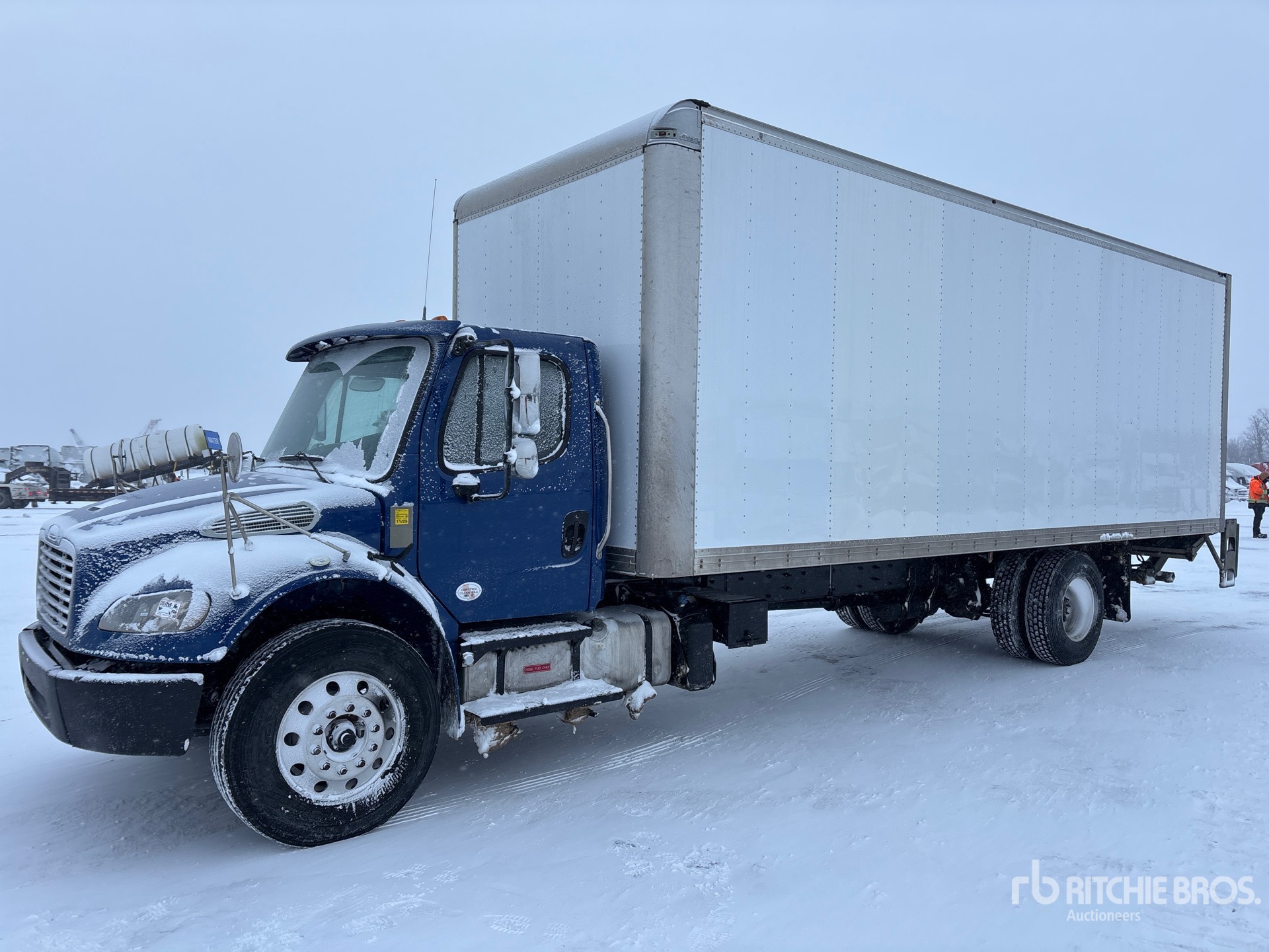 General Appearance with Spin