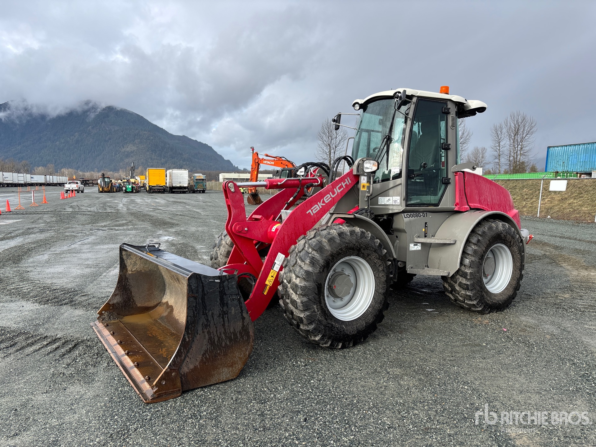 General Appearance with Spin