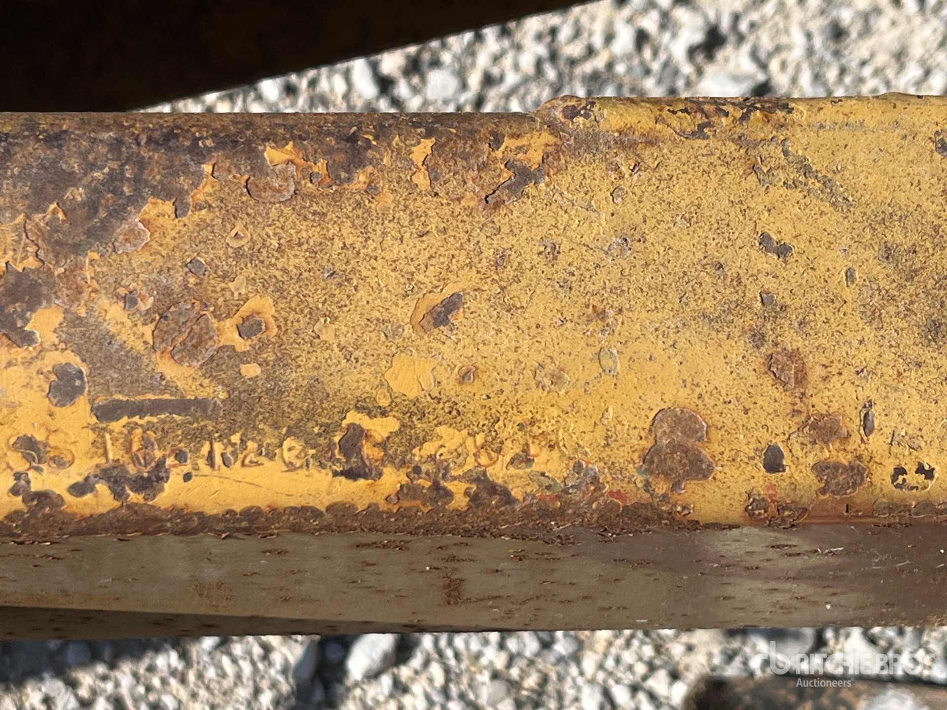 General Appearance with Numero seriale/numero d’identificazione del veicolo (VIN)