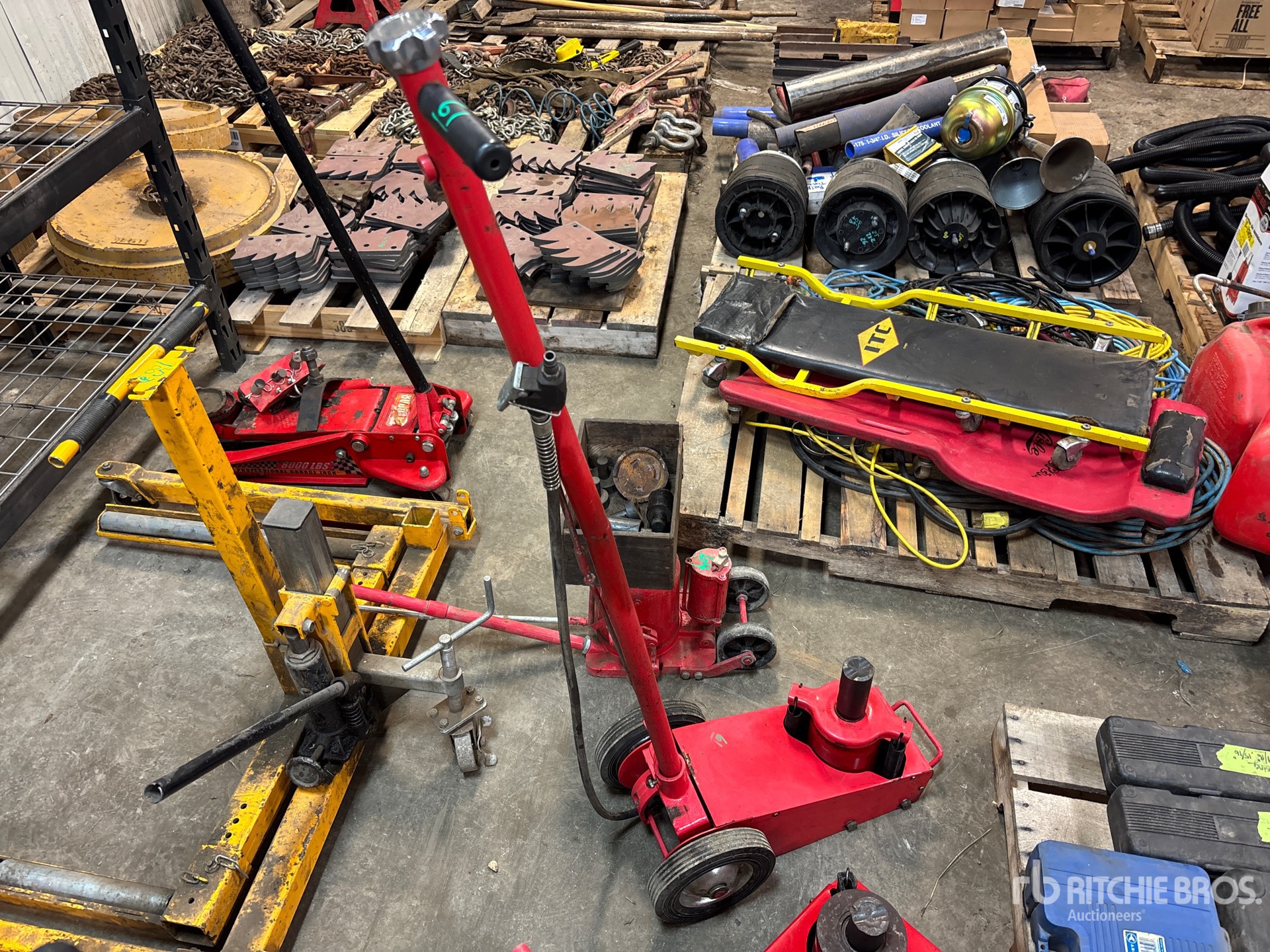 General Appearance with