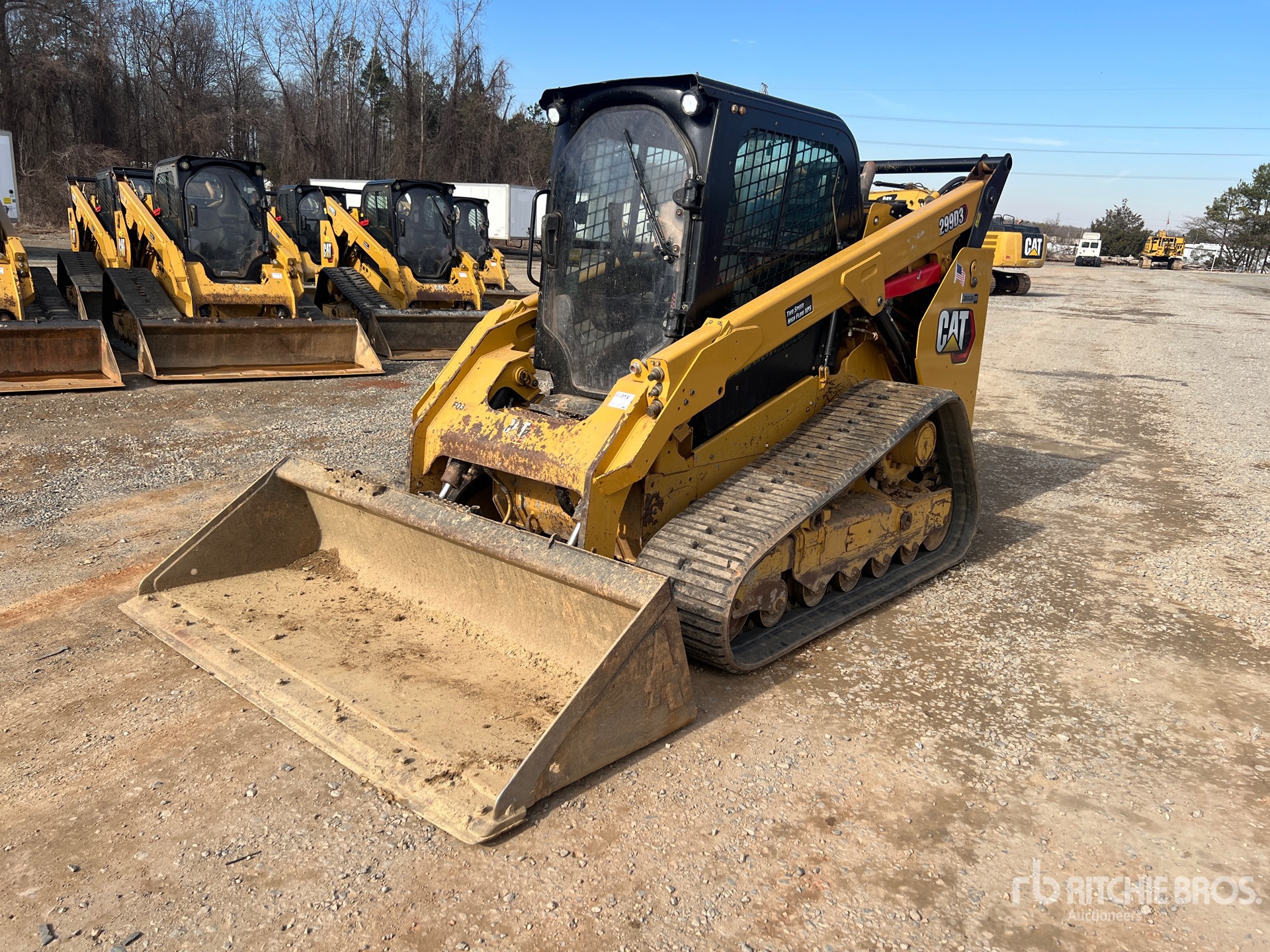 General Appearance with Spin