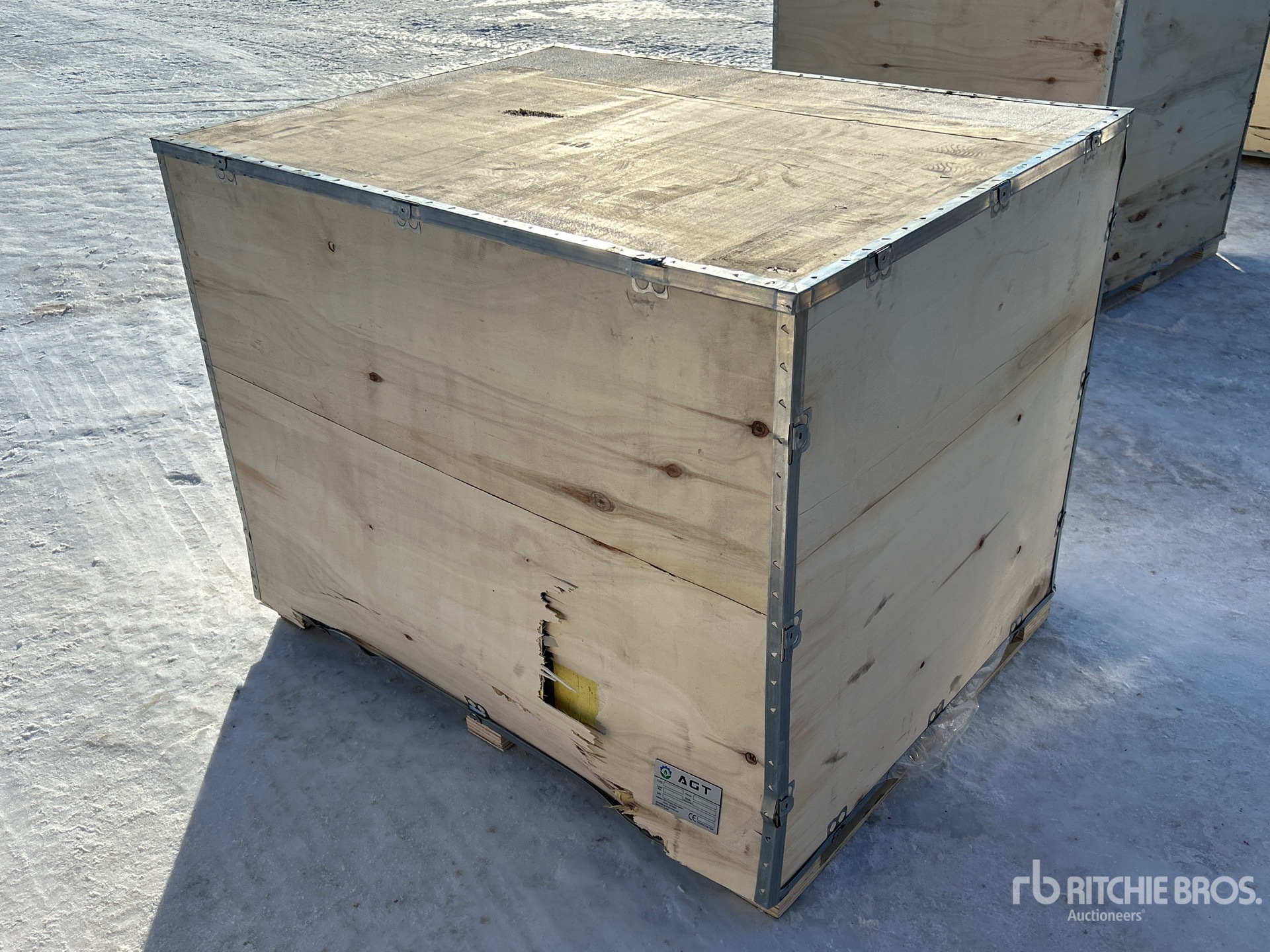 General Appearance with Image, coin arrière droit