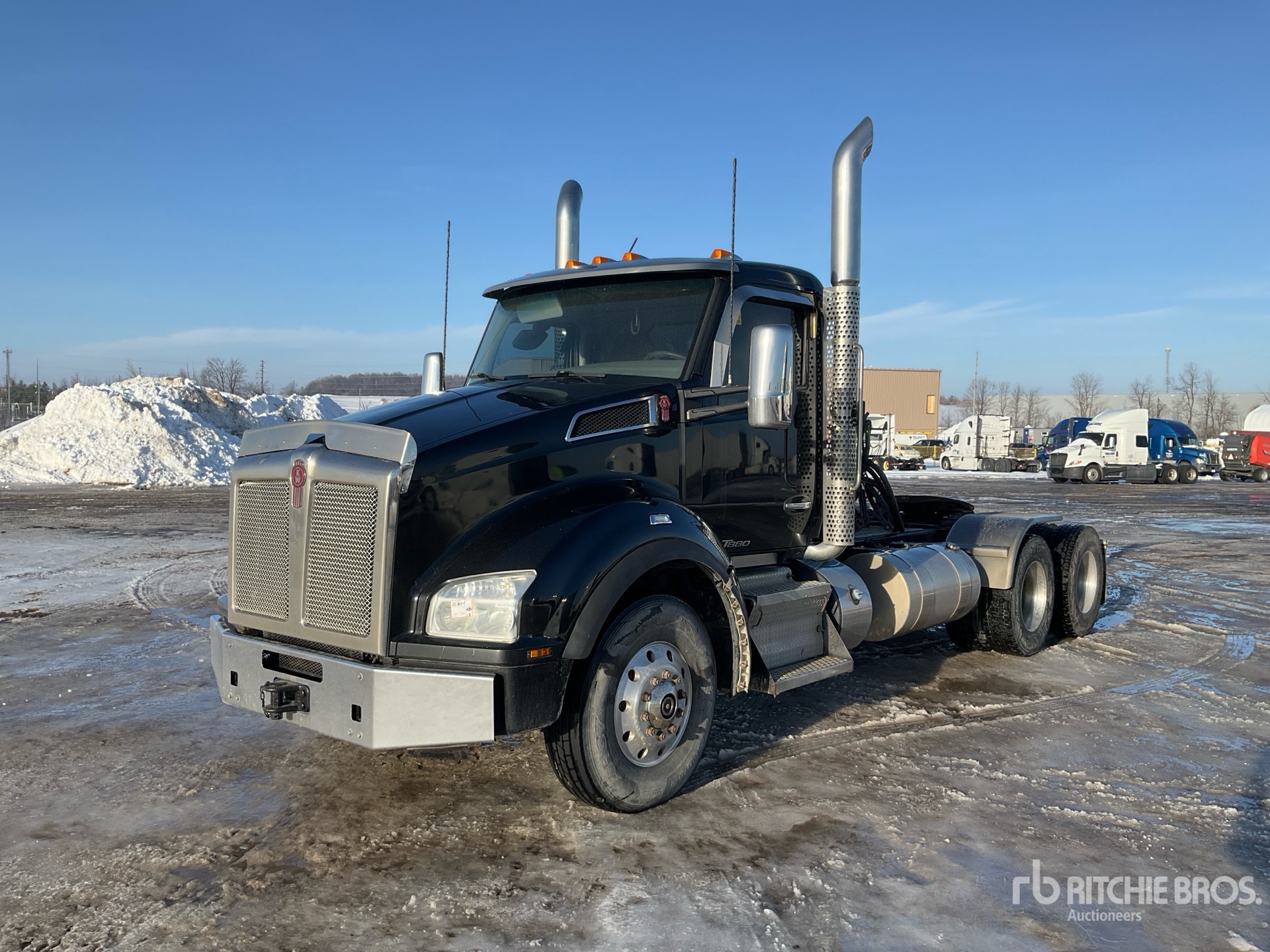 General Appearance with Spin