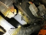 Engine - CE* with Oil Leaks