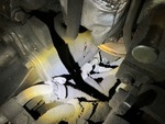 Engine - CE* with Oil Leaks