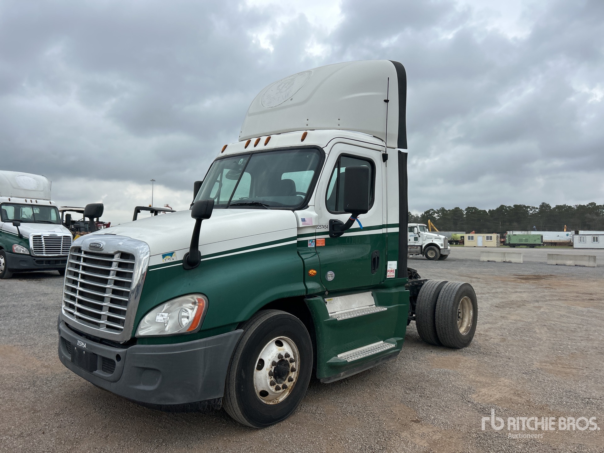 General Appearance with Spin