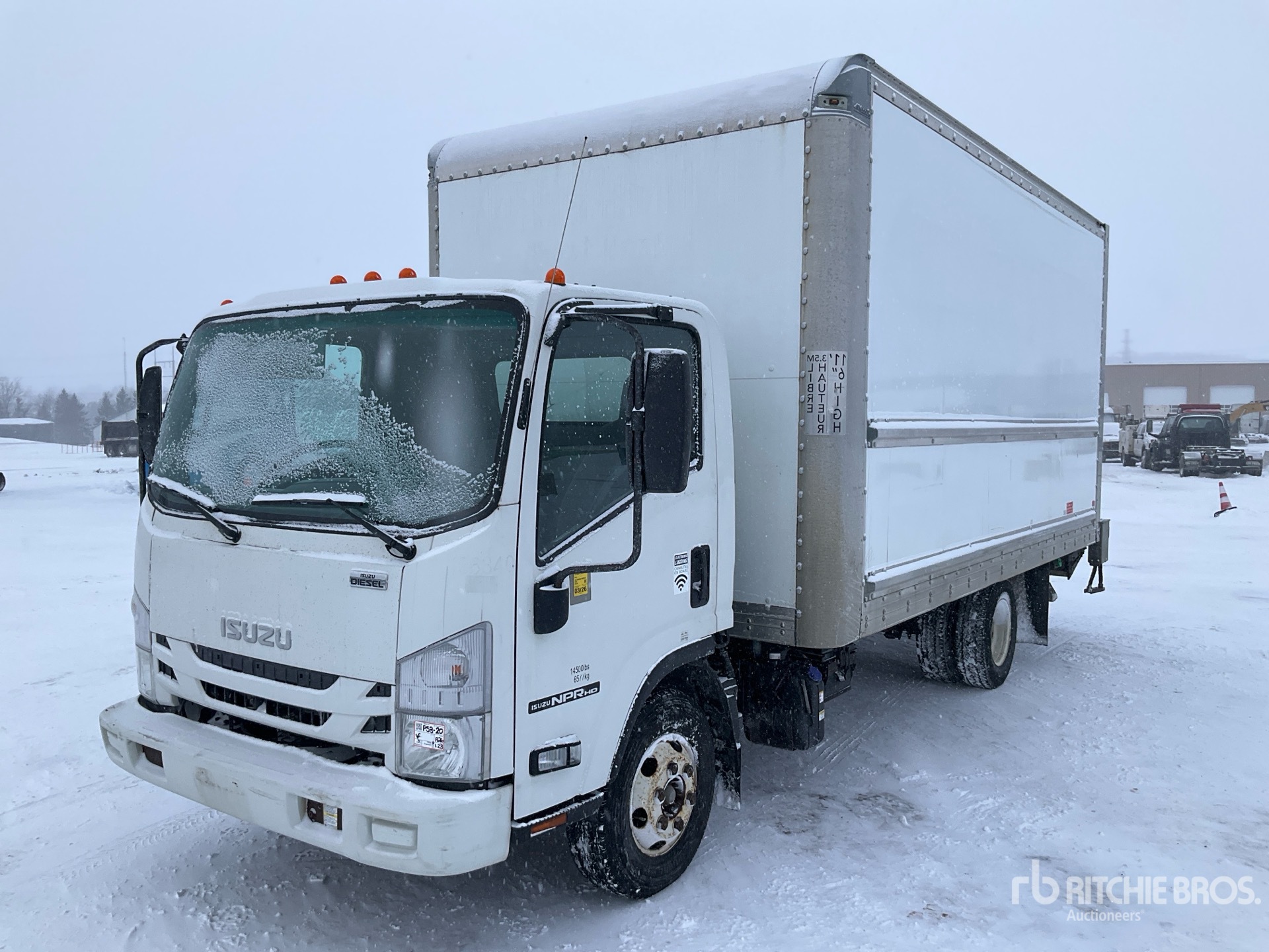 General Appearance with Spin