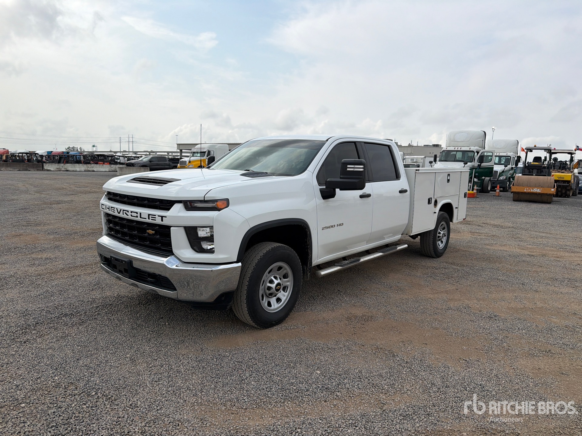 General Appearance with Spin