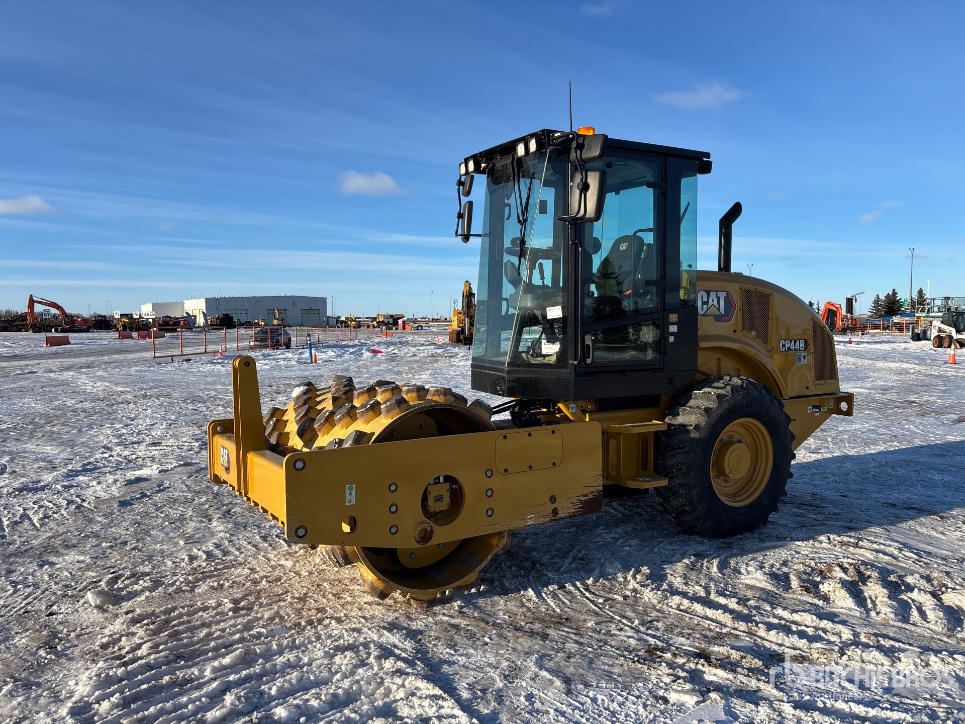 General Appearance with Spin