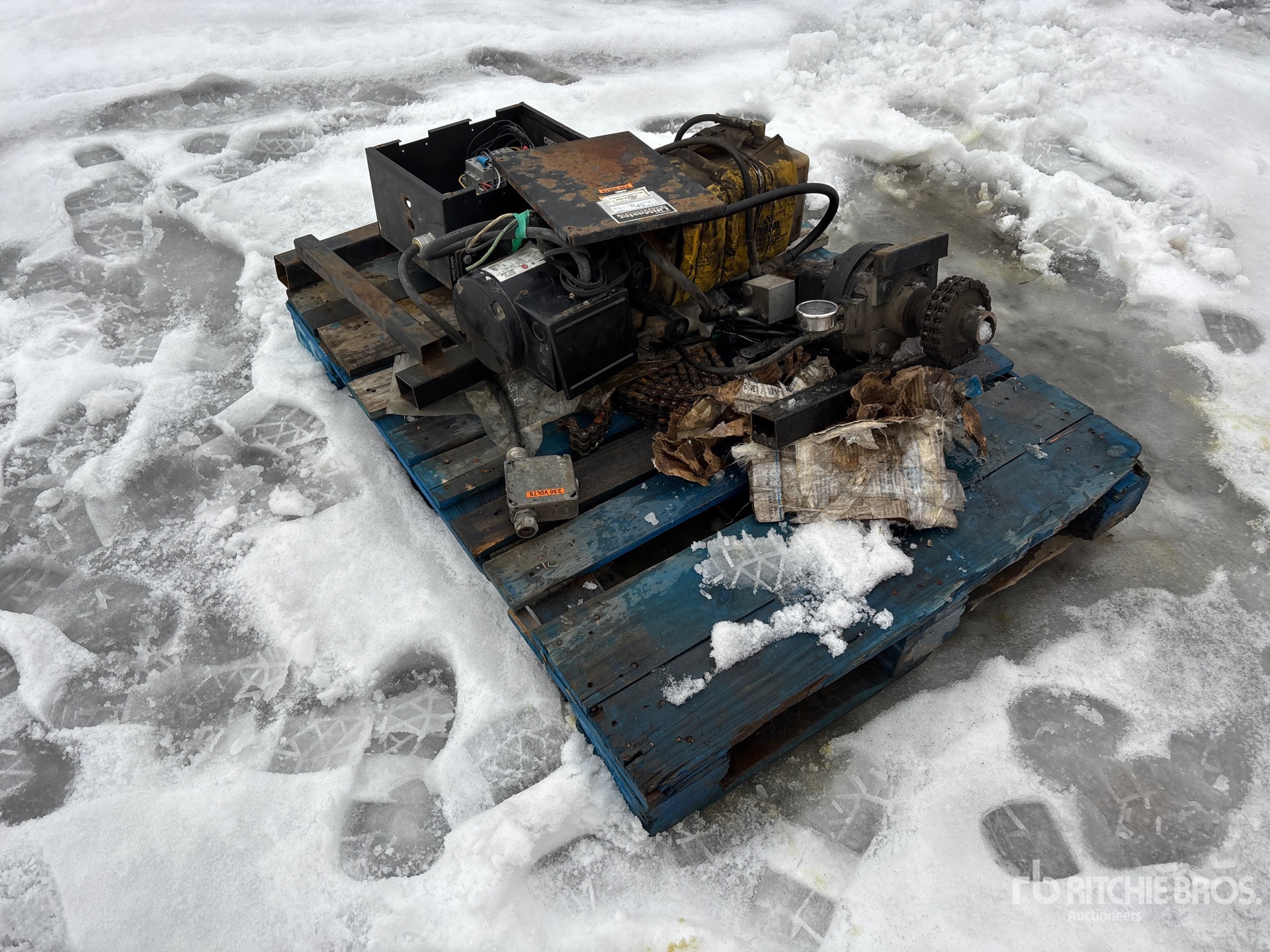 General Appearance with Zdjęcie, lewy dolny róg