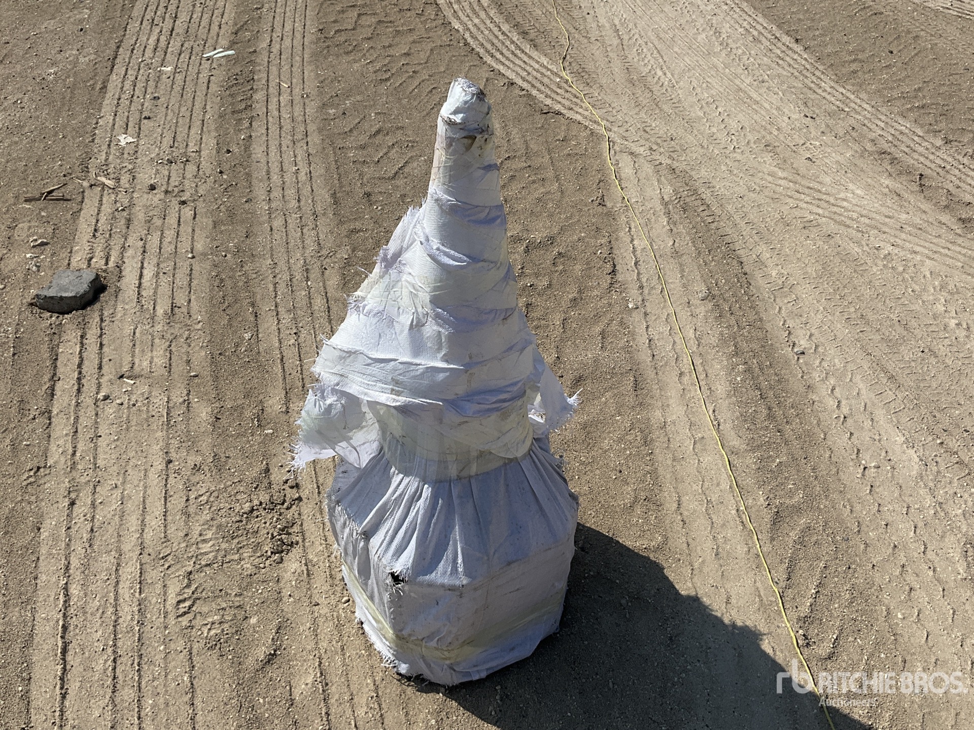 General Appearance with Image, coin arrière droit