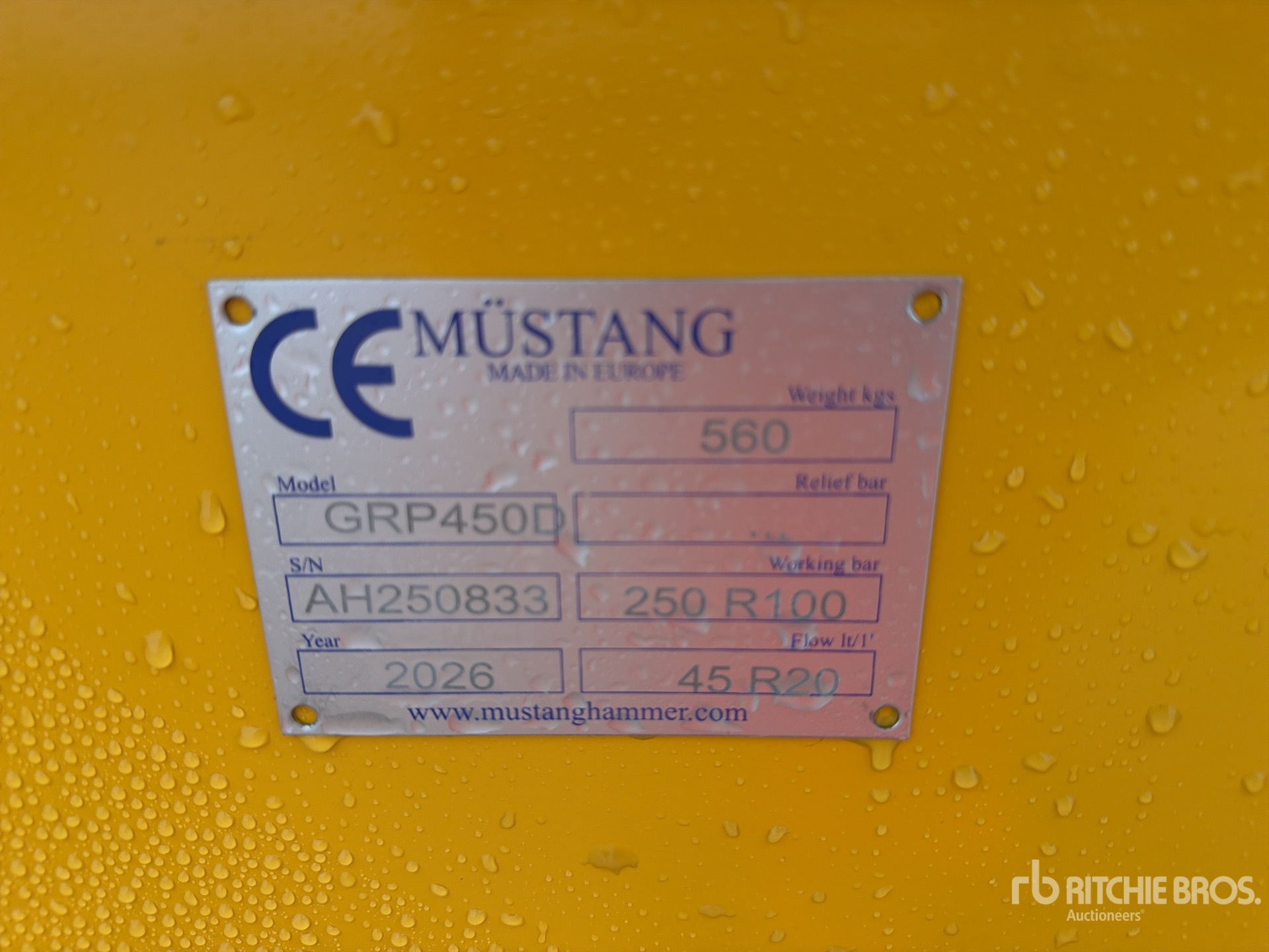 General Appearance with