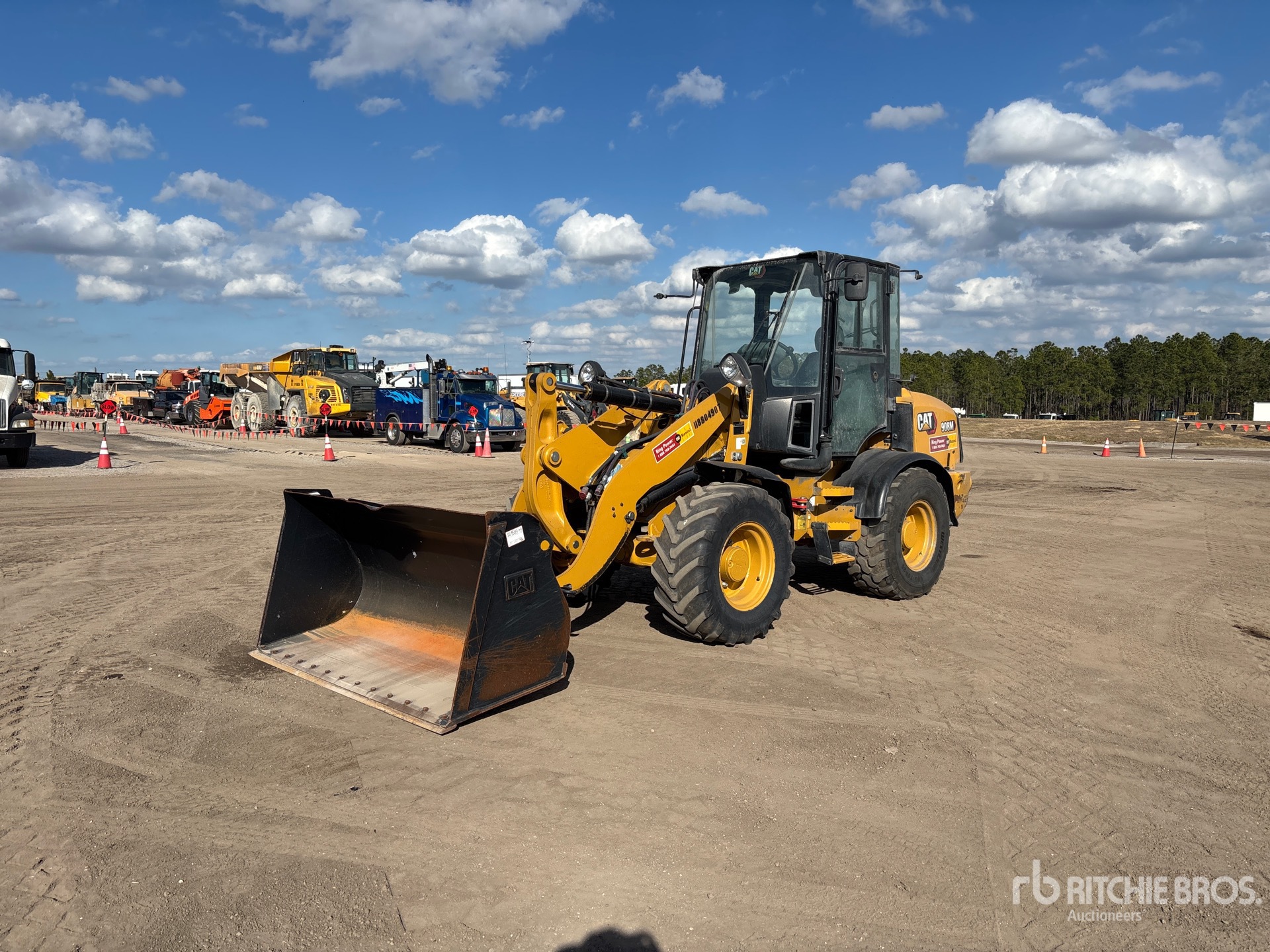 General Appearance with Spin