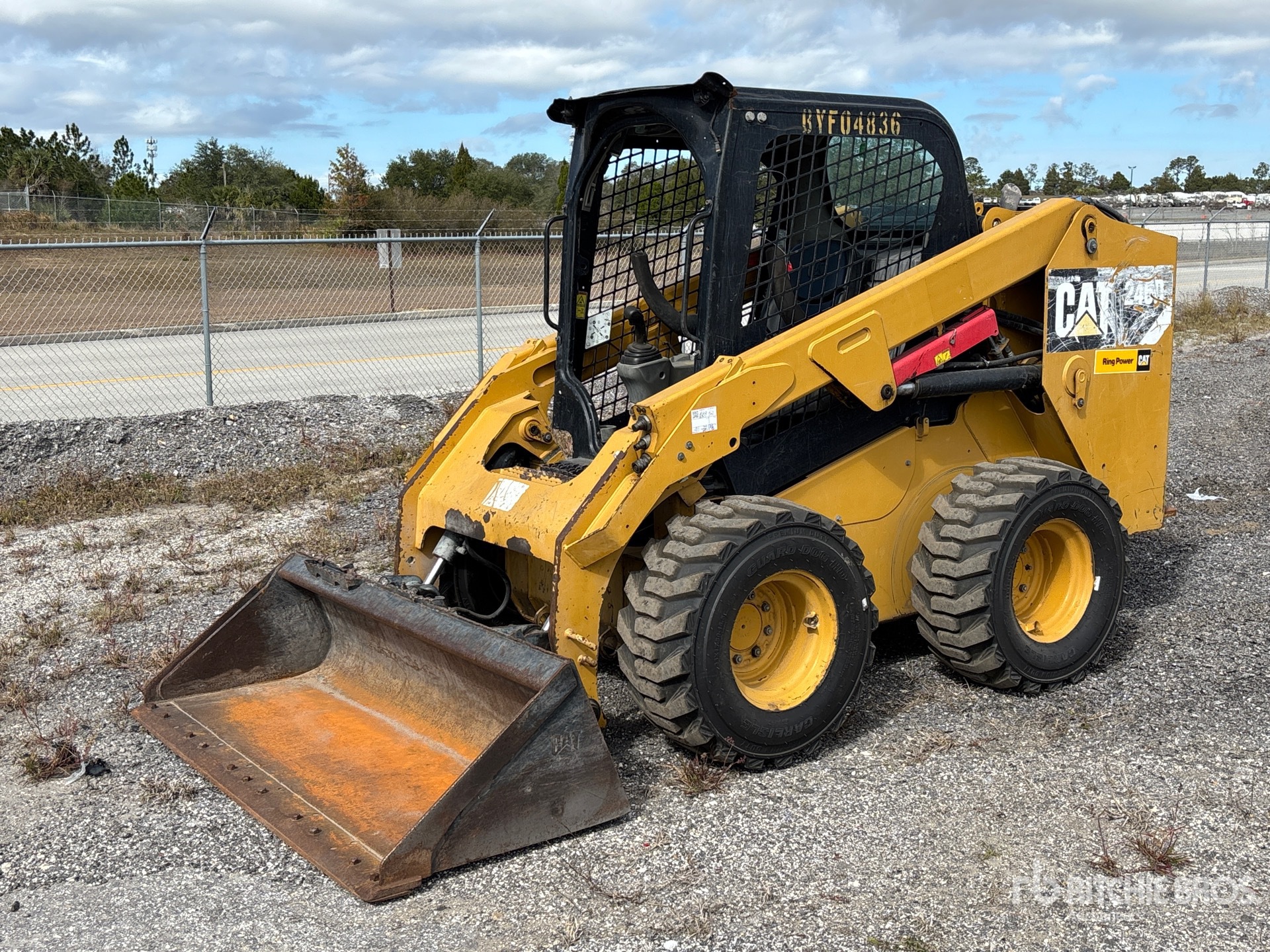 General Appearance with Spin