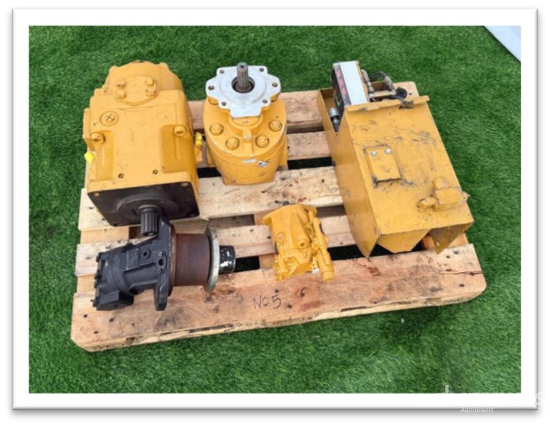 General Appearance with