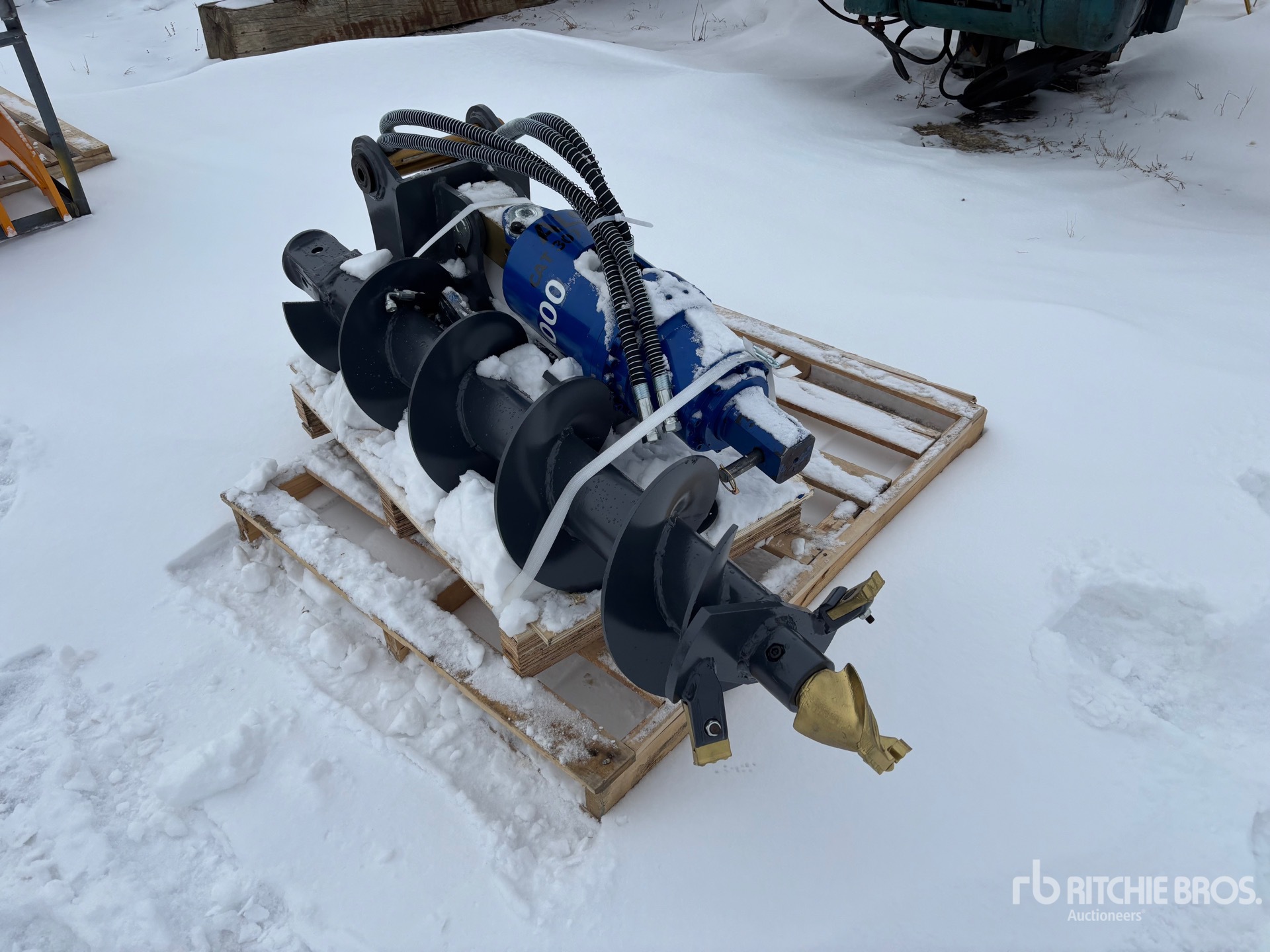 General Appearance with Image, coin avant gauche