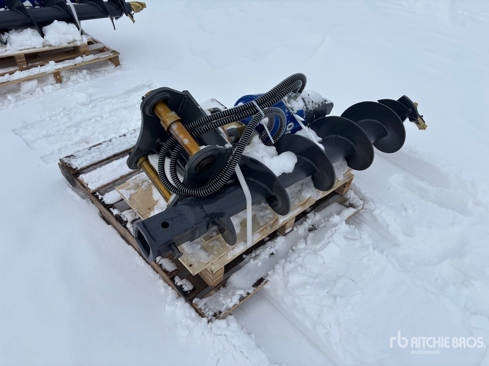 General Appearance with Image, coin avant droit