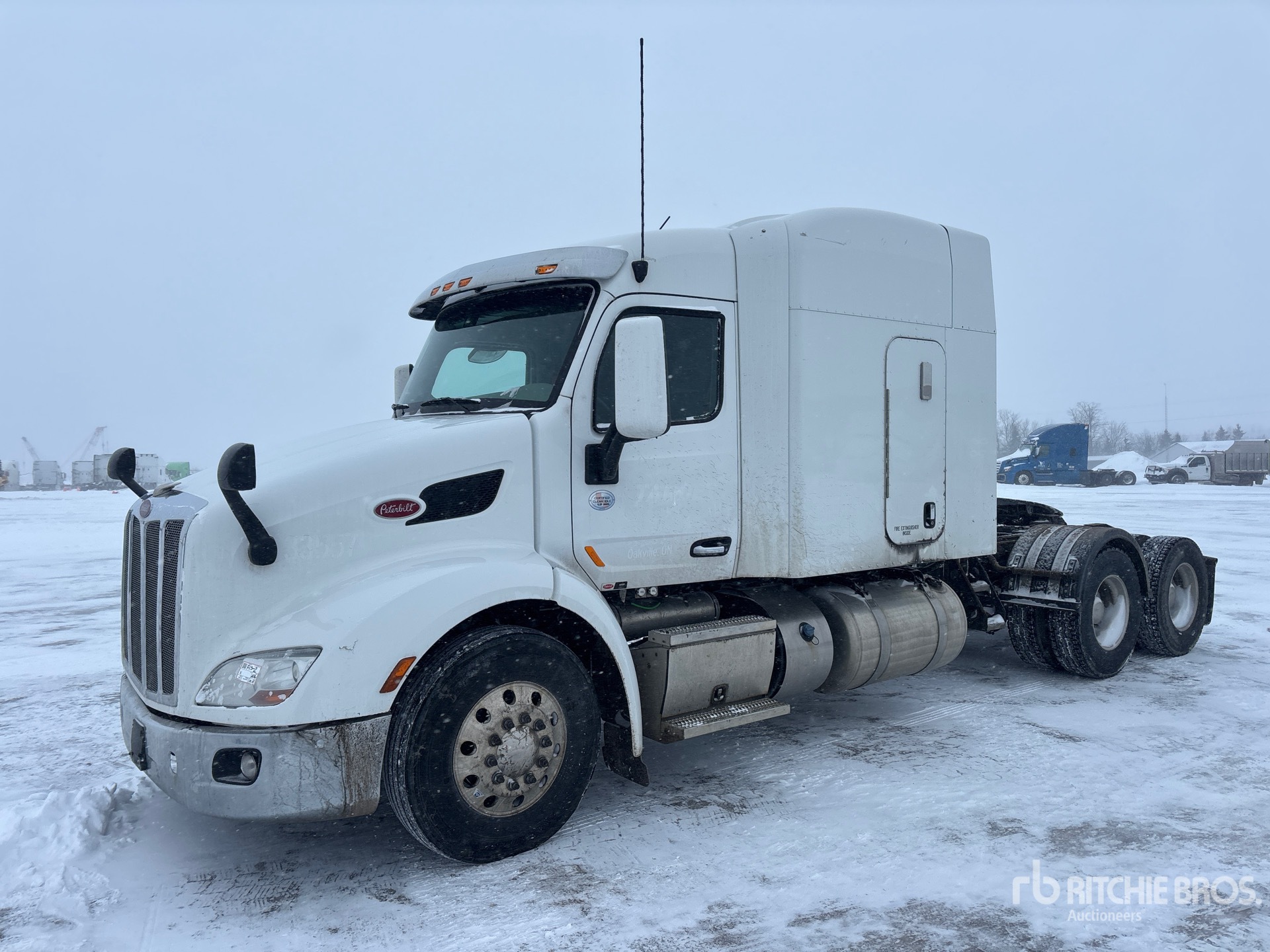 General Appearance with Spin