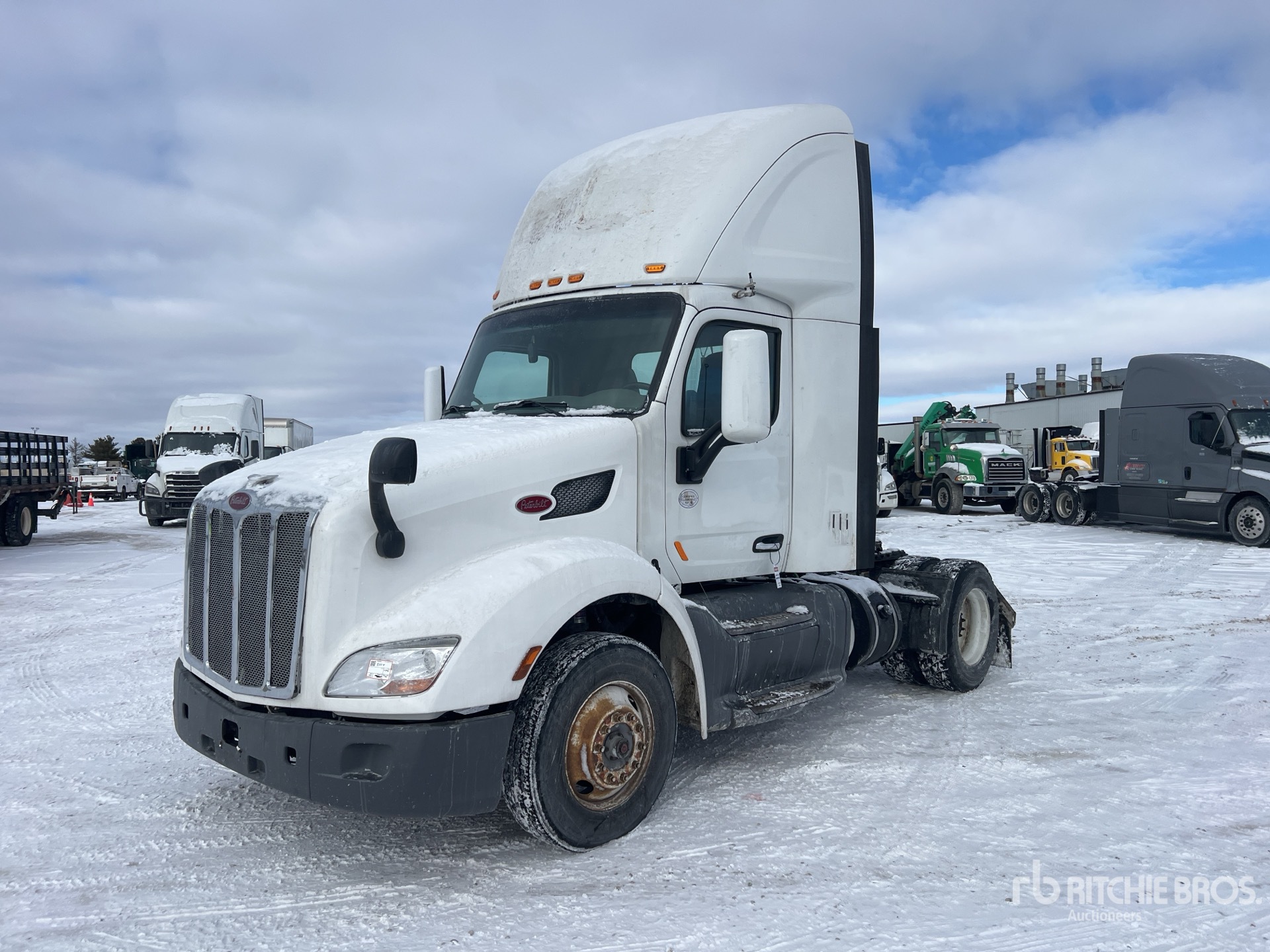 General Appearance with Spin