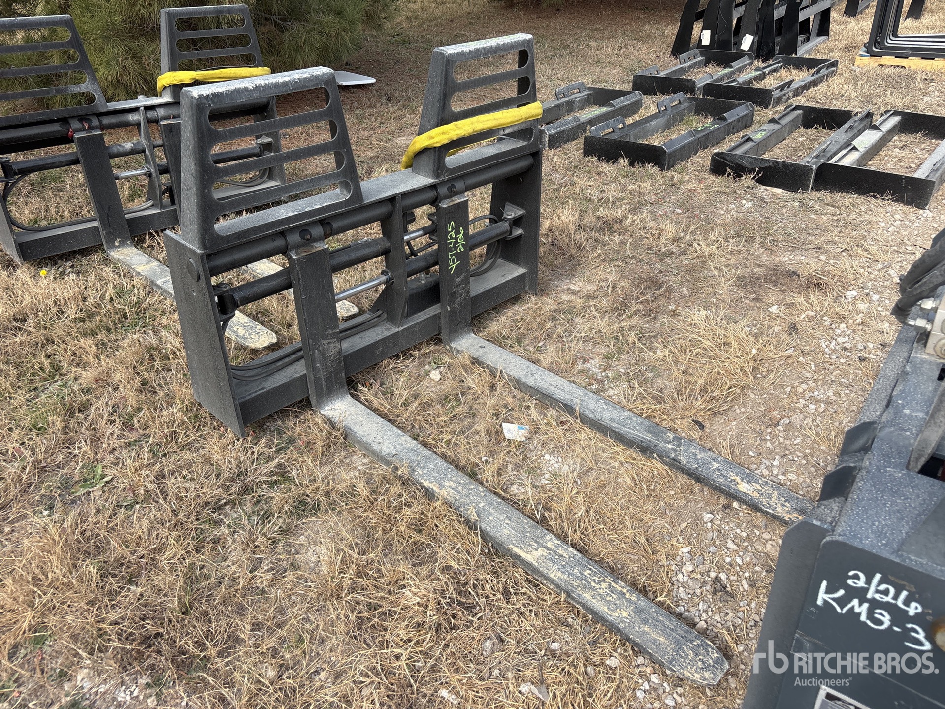 General Appearance with Zdjęcie, prawy górny róg