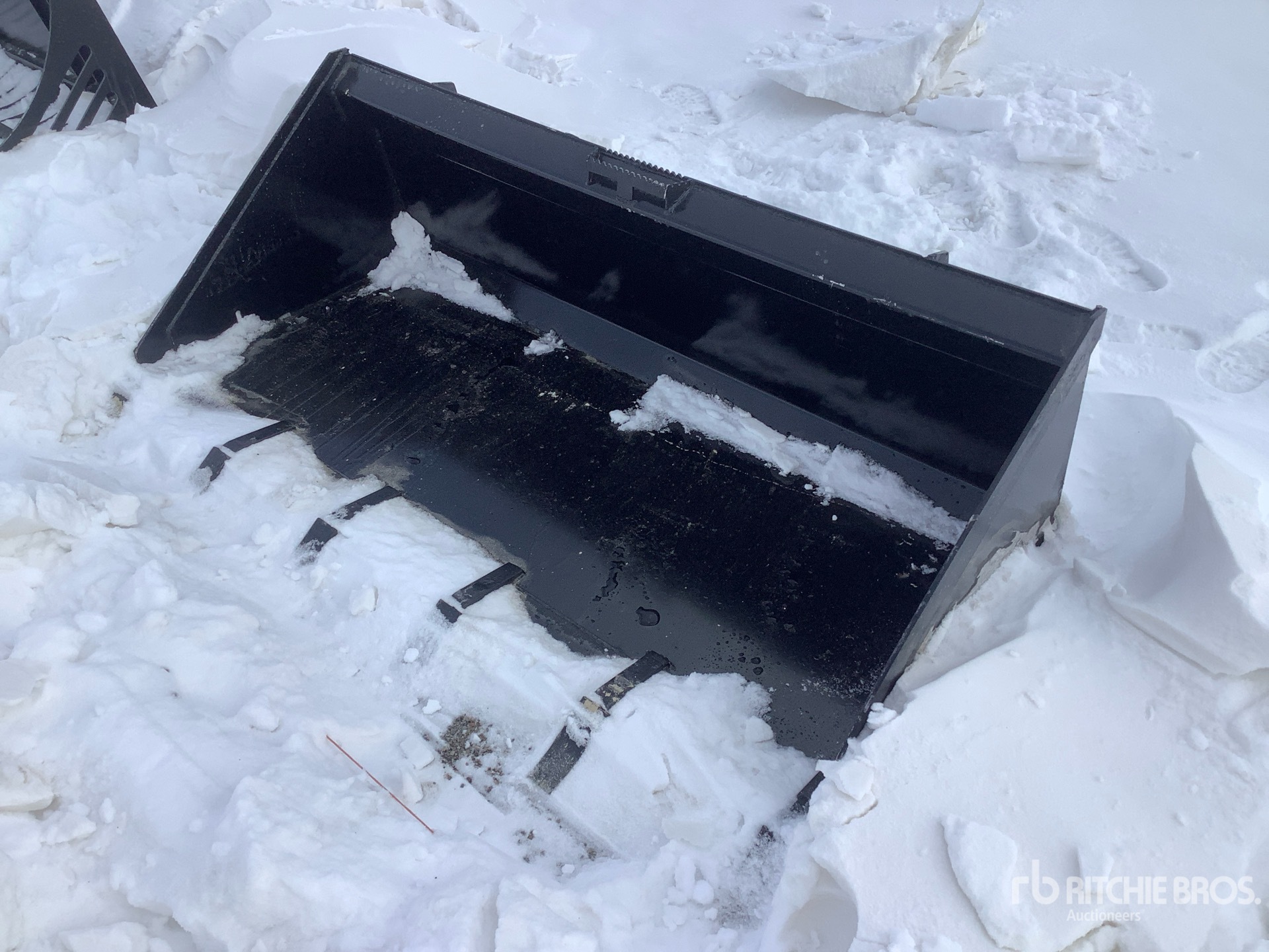 General Appearance with Bild, Ecke vorne links