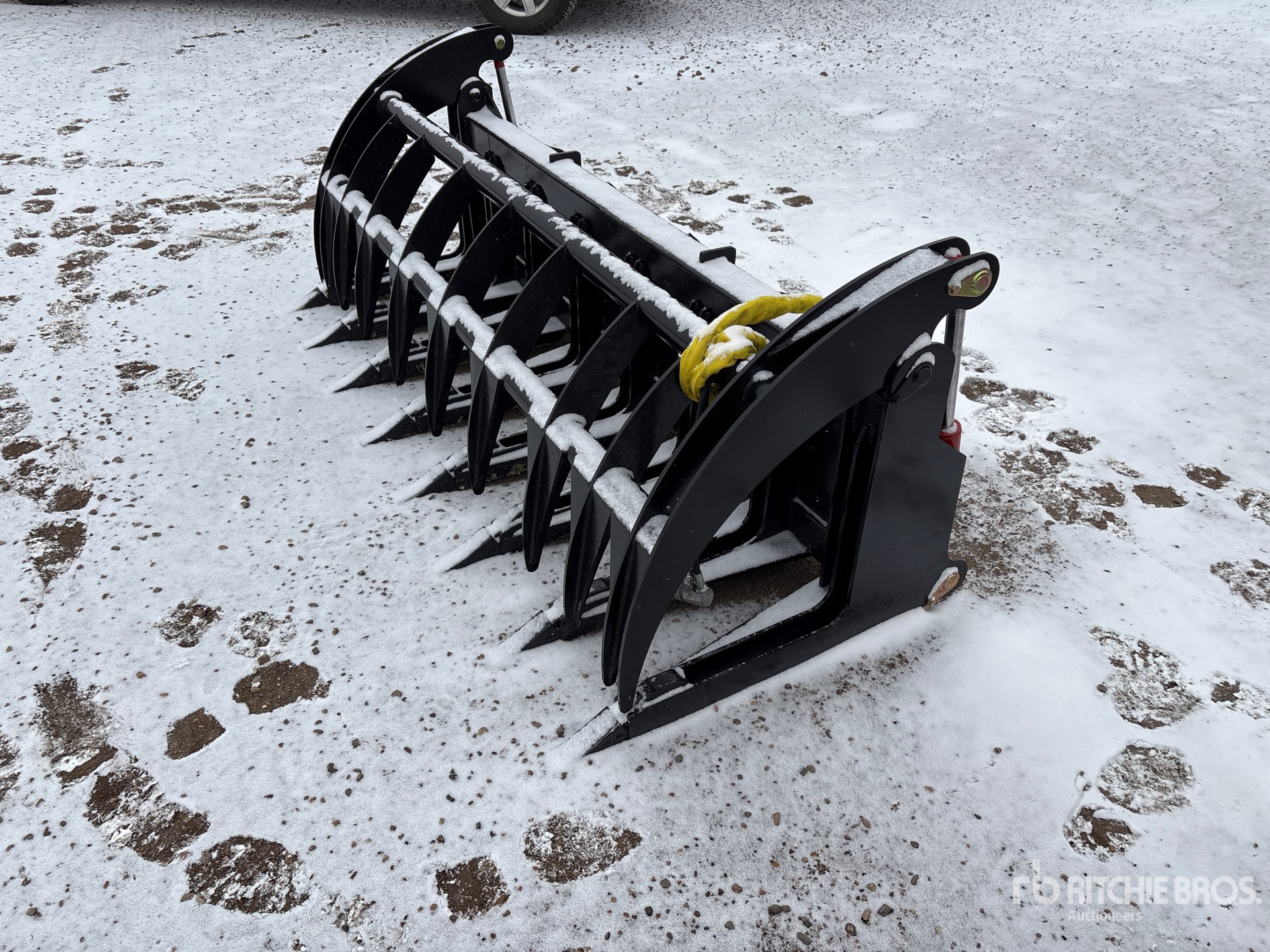 General Appearance with Zdjęcie, prawy dolny róg