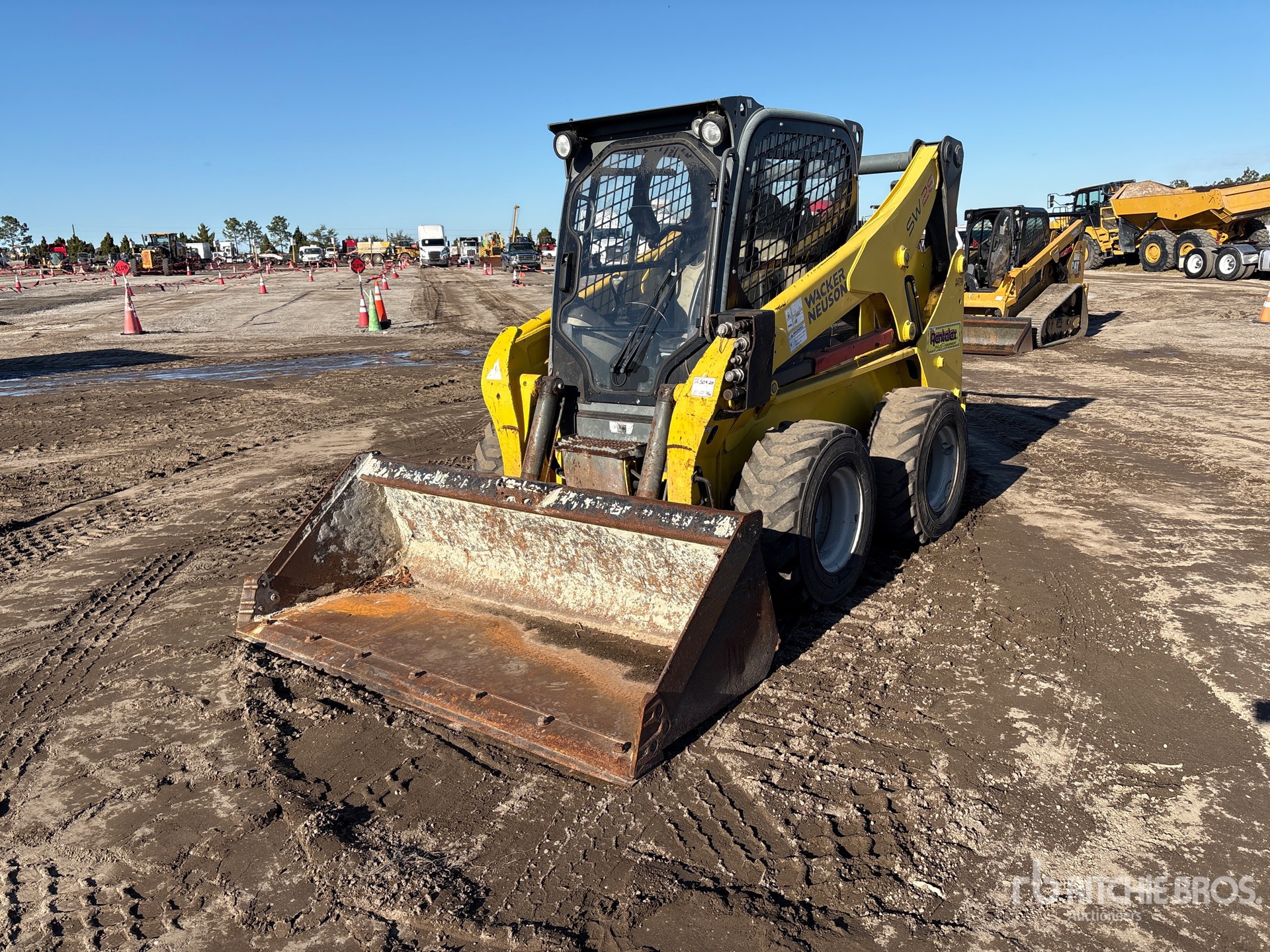 General Appearance with Spin