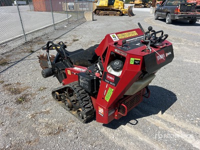 General Appearance with Zdjęcie, lewy dolny róg