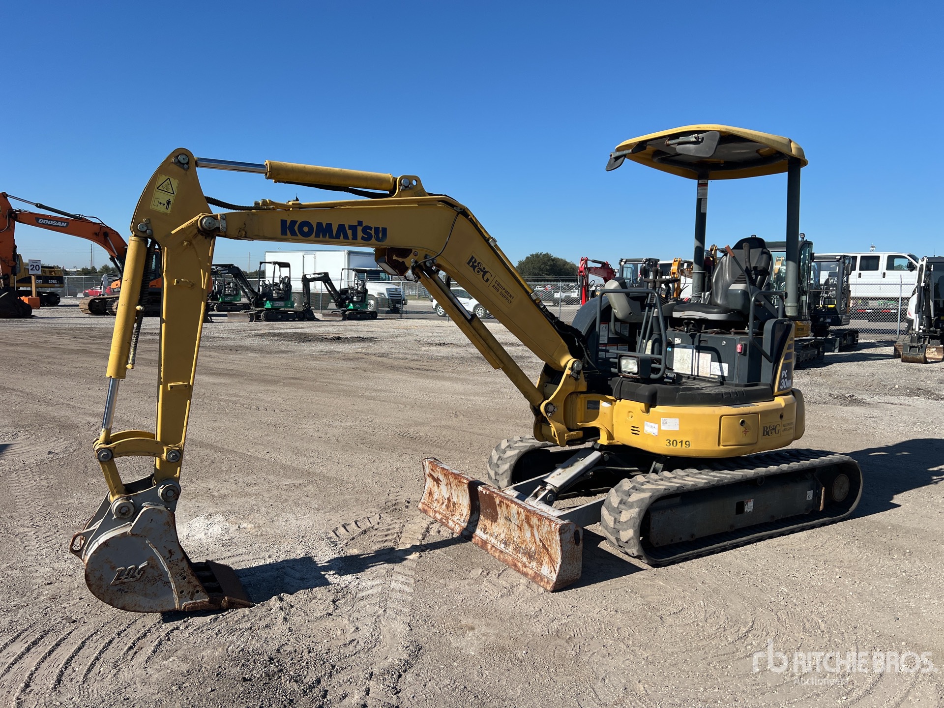 General Appearance with Spin