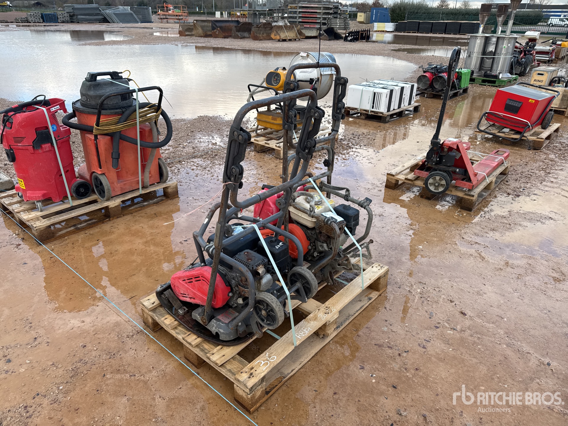 General Appearance with