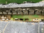 Undercarriage with Linguette della trasmissione a cinghia in gomma