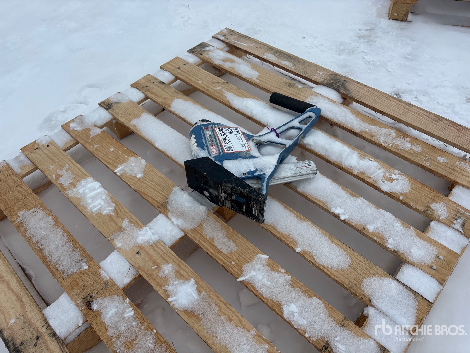 General Appearance with Bild, Ecke hinten links