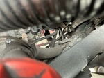 Engine with Fuel System