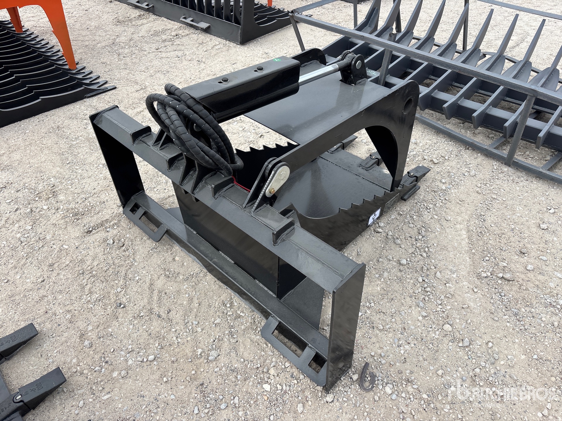 General Appearance with Foto, angolo anteriore sinistro