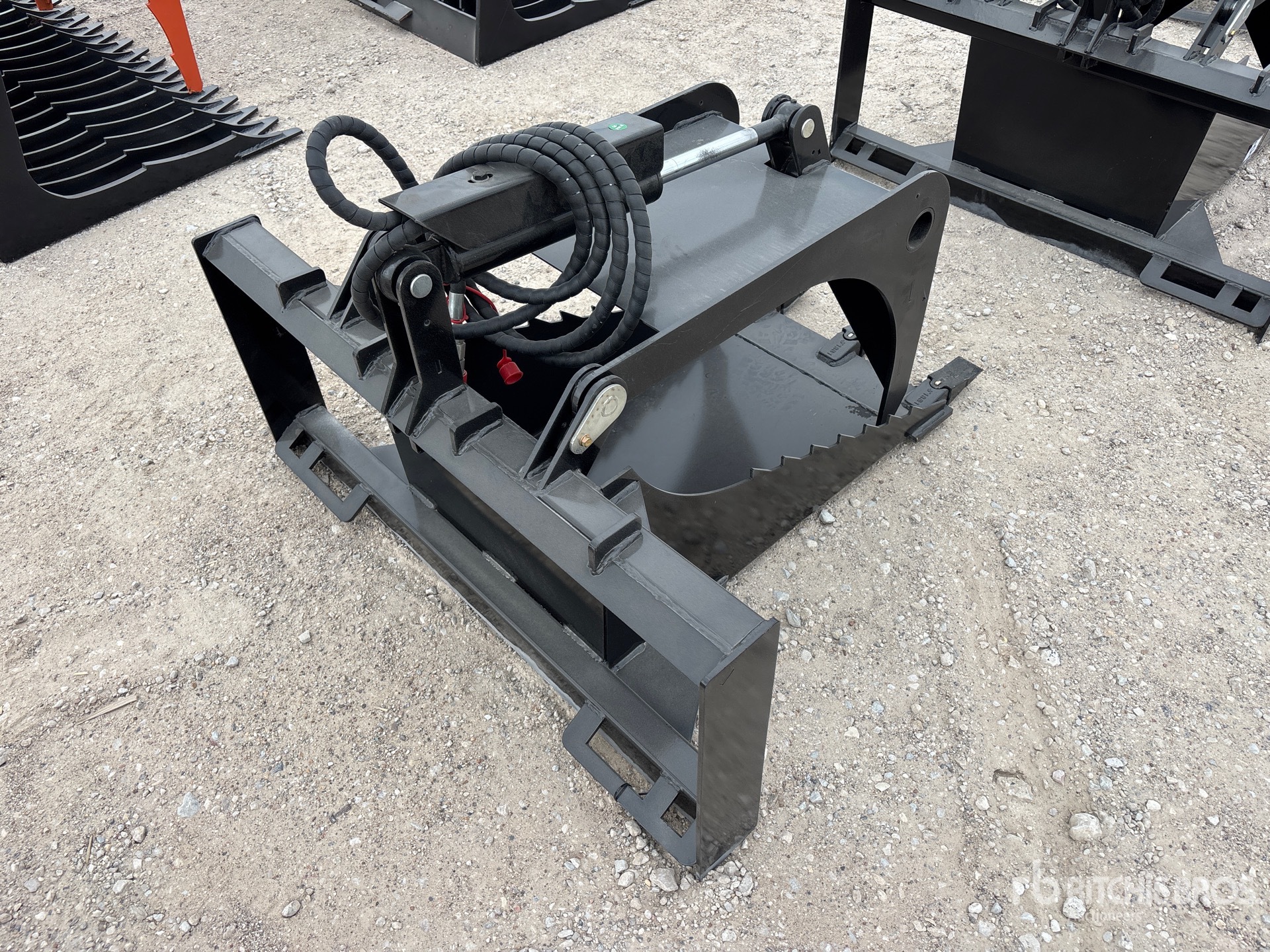 General Appearance with Foto, angolo anteriore sinistro