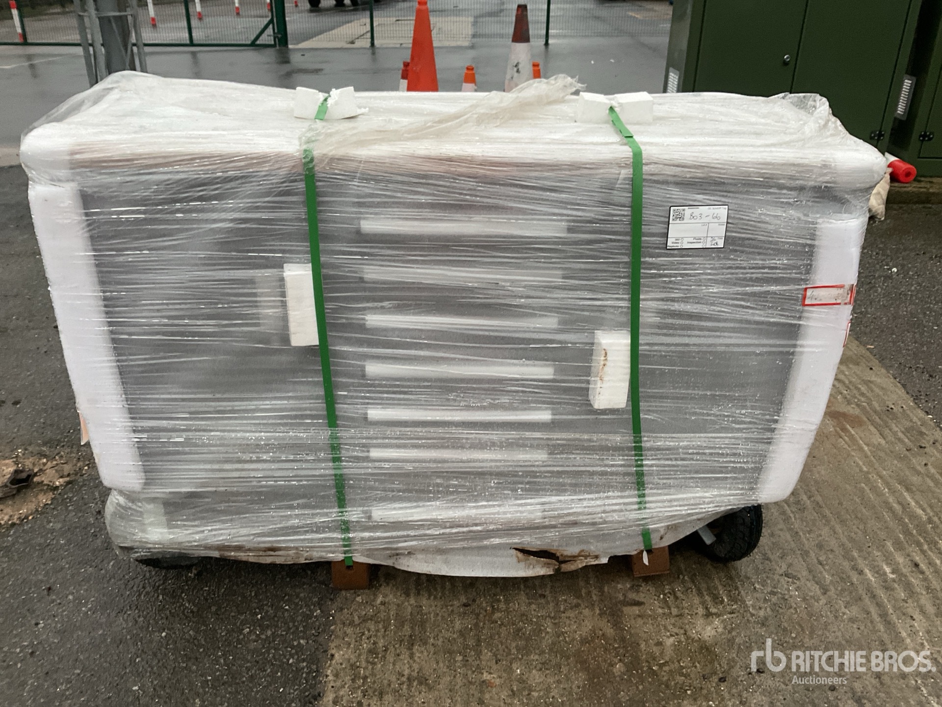 General Appearance with