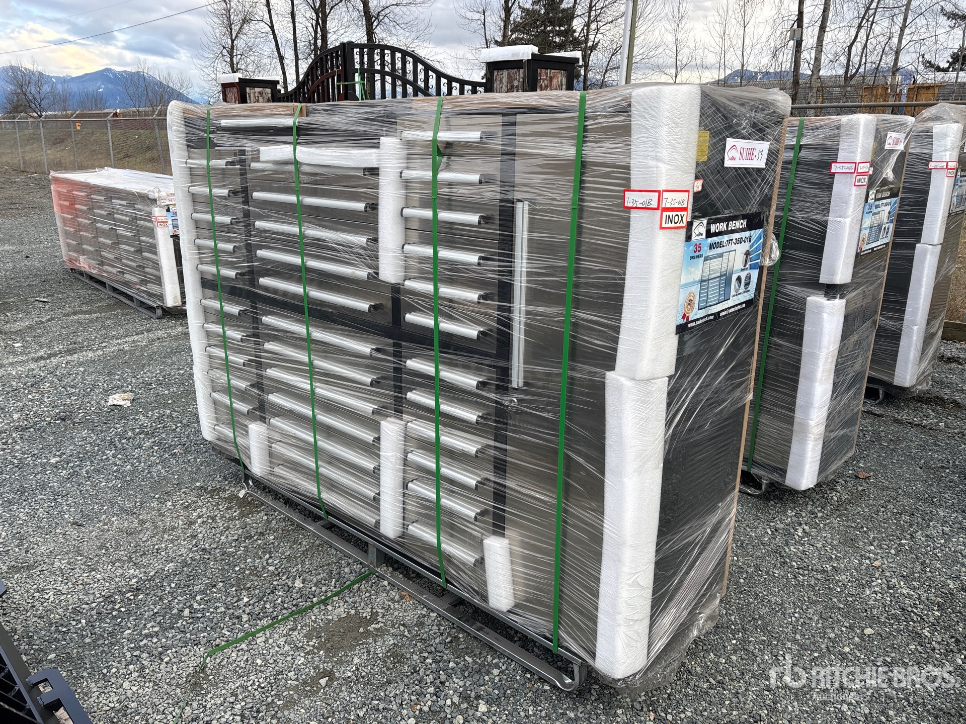 General Appearance with Picture, Left Front Corner