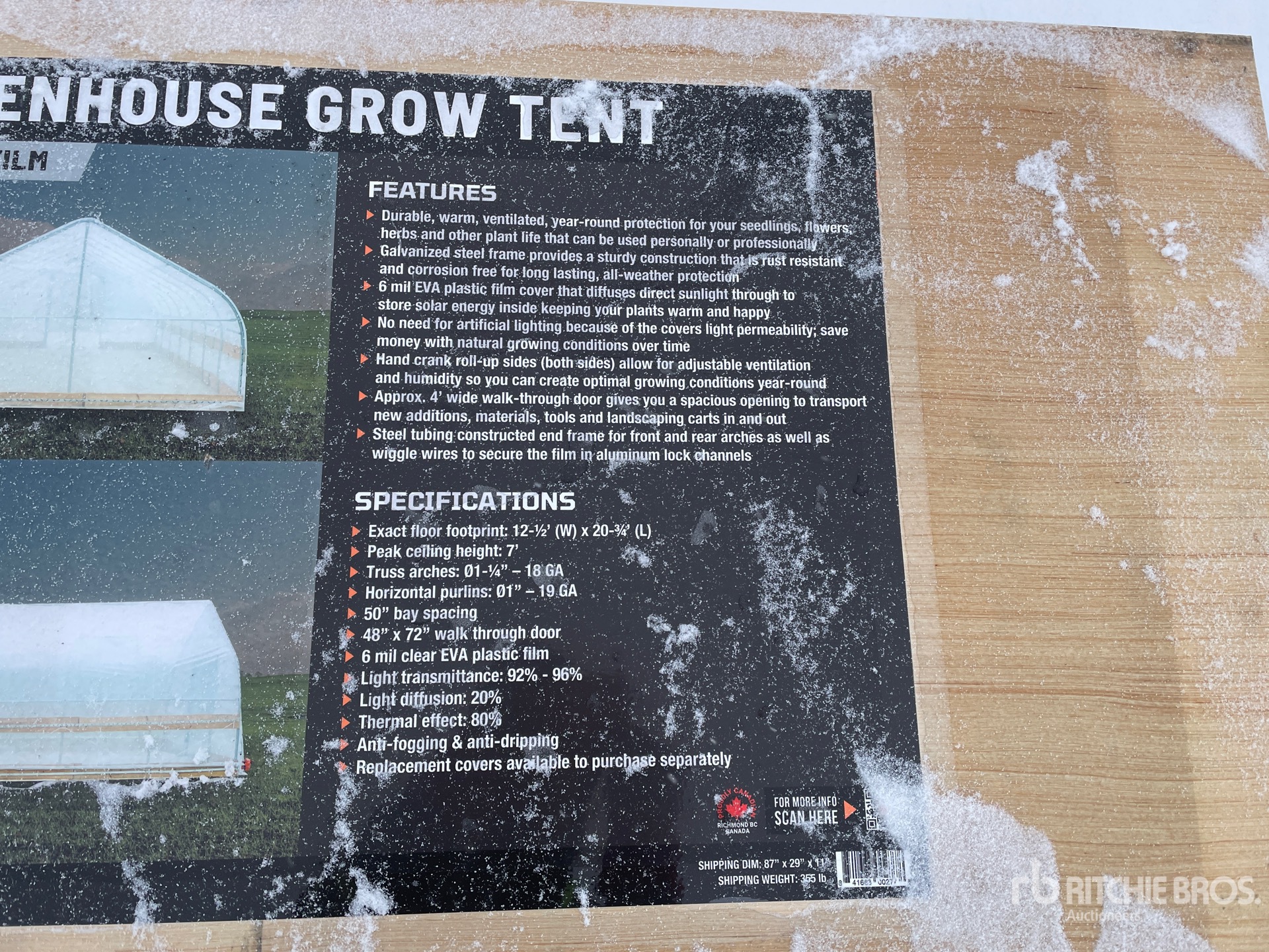 General Appearance with