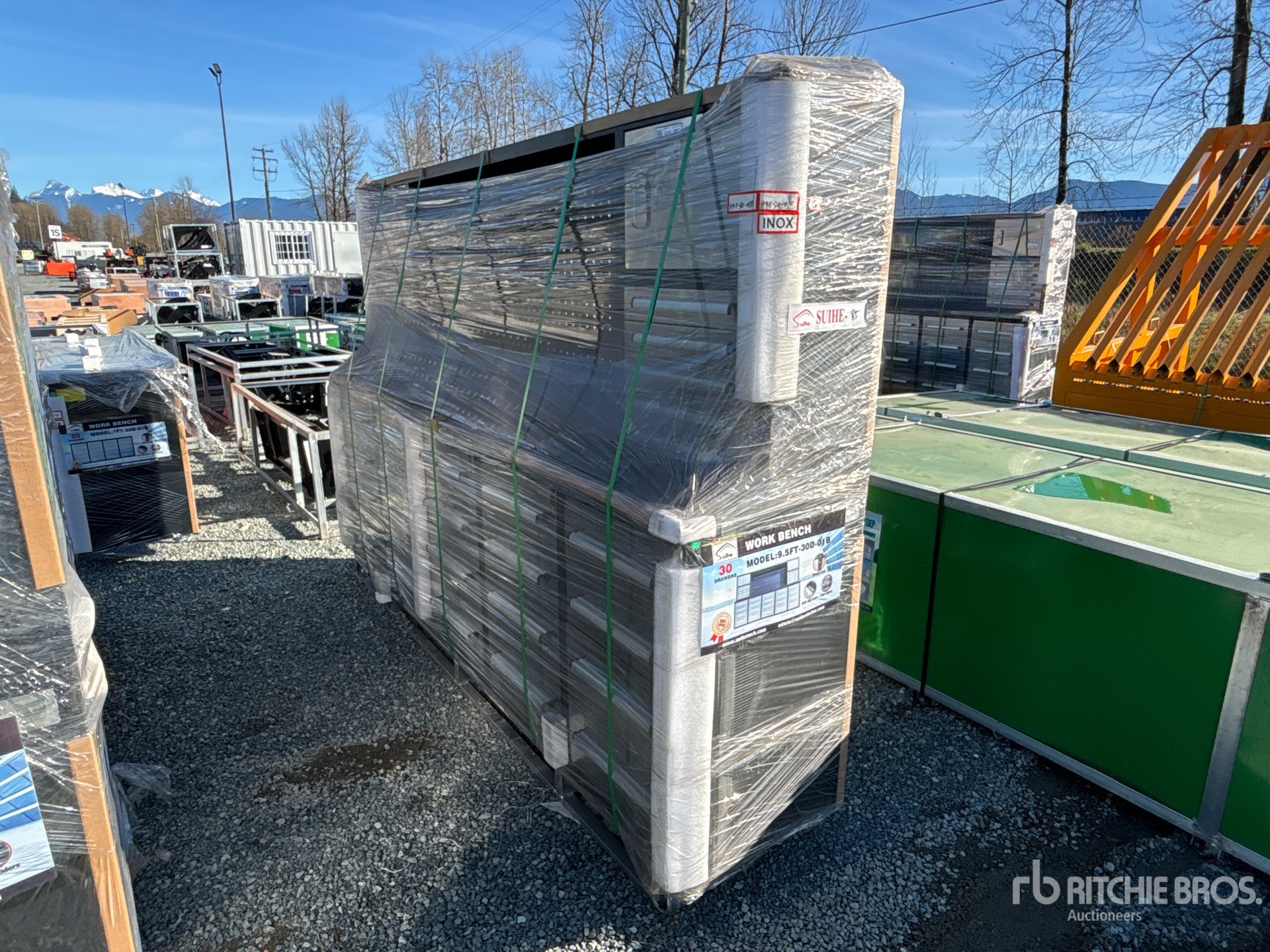 General Appearance with Picture, Left Front Corner