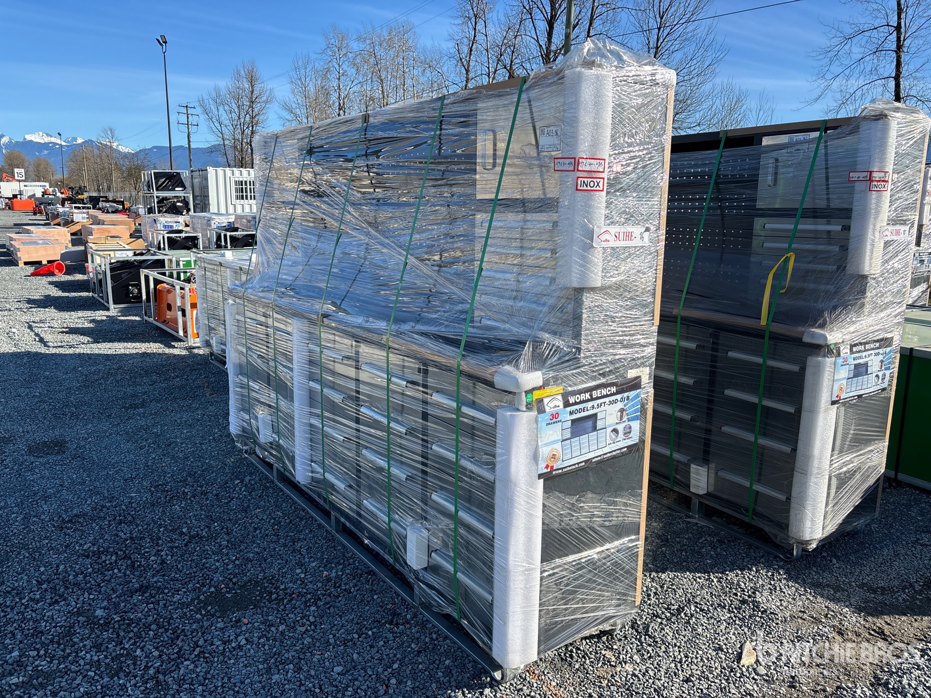 General Appearance with Picture, Left Front Corner