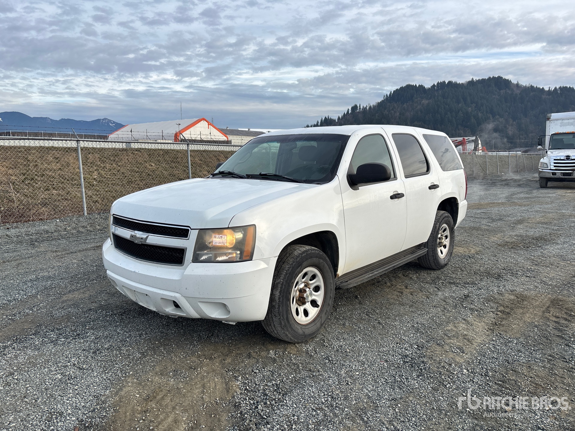 General Appearance with Spin